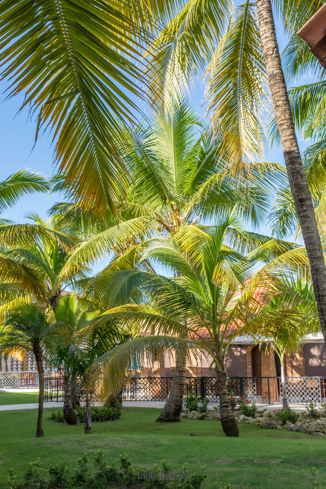Nikon AF-S Nikkor 24-70mm F2.8G ED sample photo. Punta cana photography