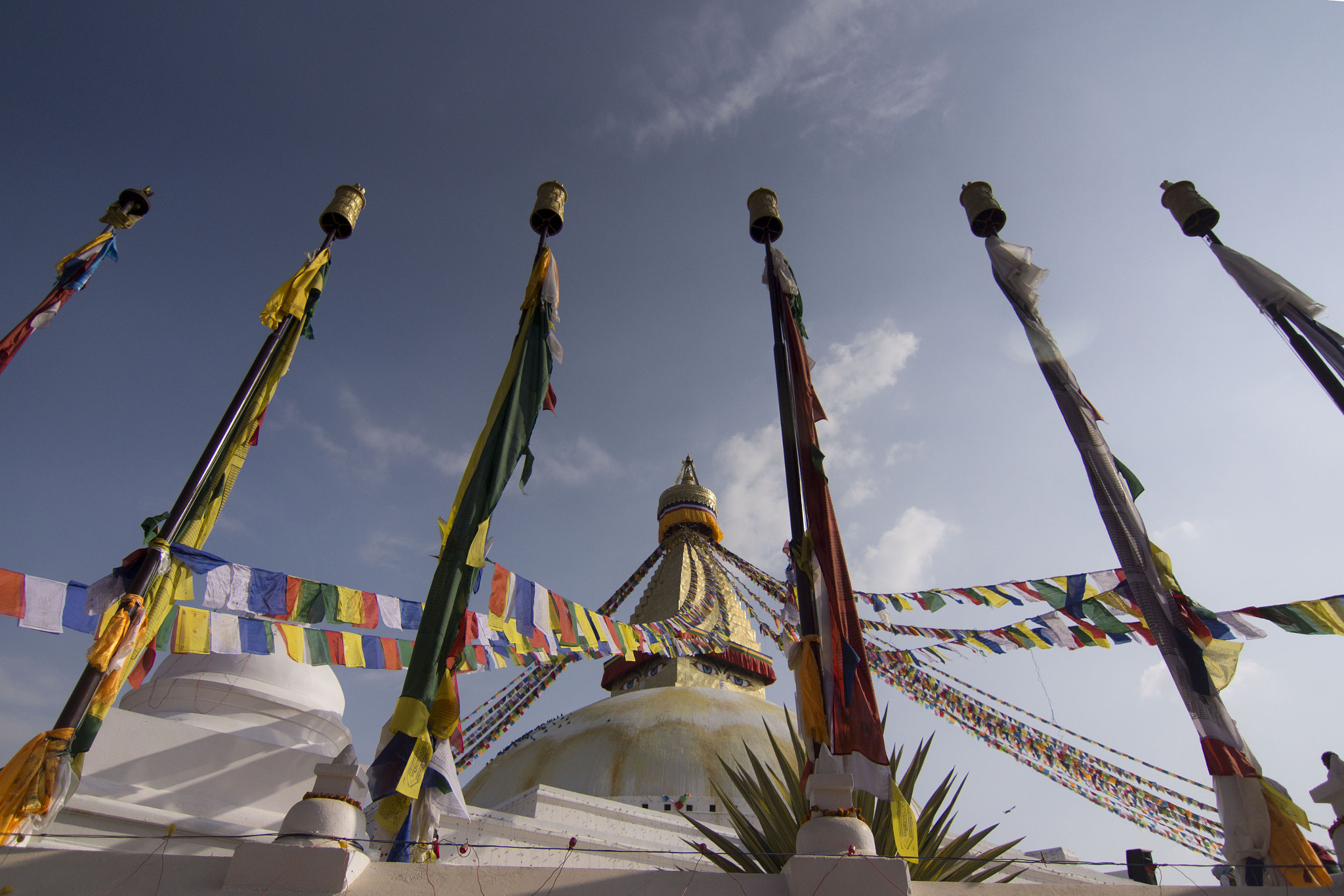 Sony SLT-A77 + 20mm F2.8 sample photo. ''buddha's home'' photography