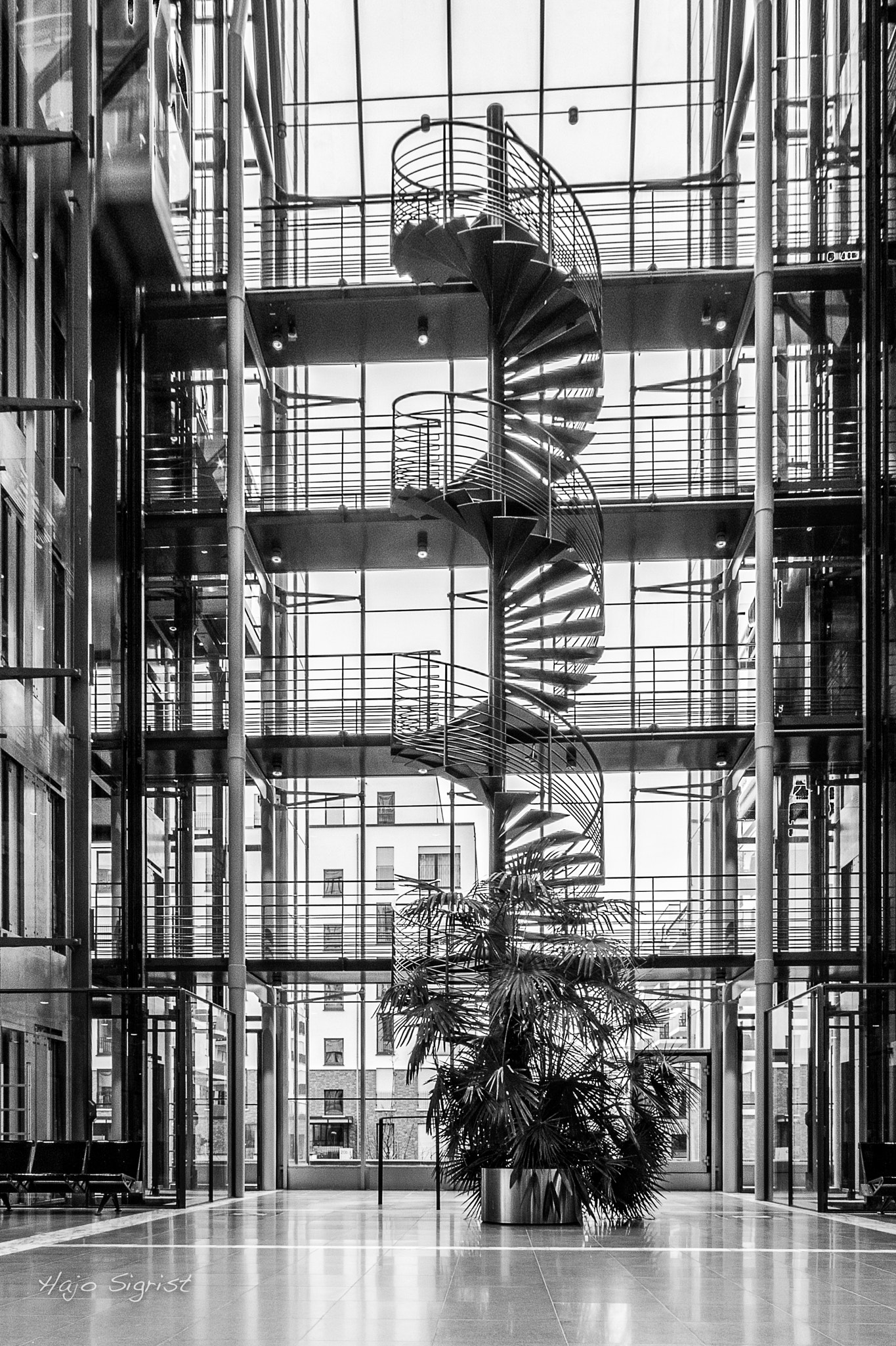 Sigma 10-20mm F4-5.6 EX DC HSM sample photo. Dna photography