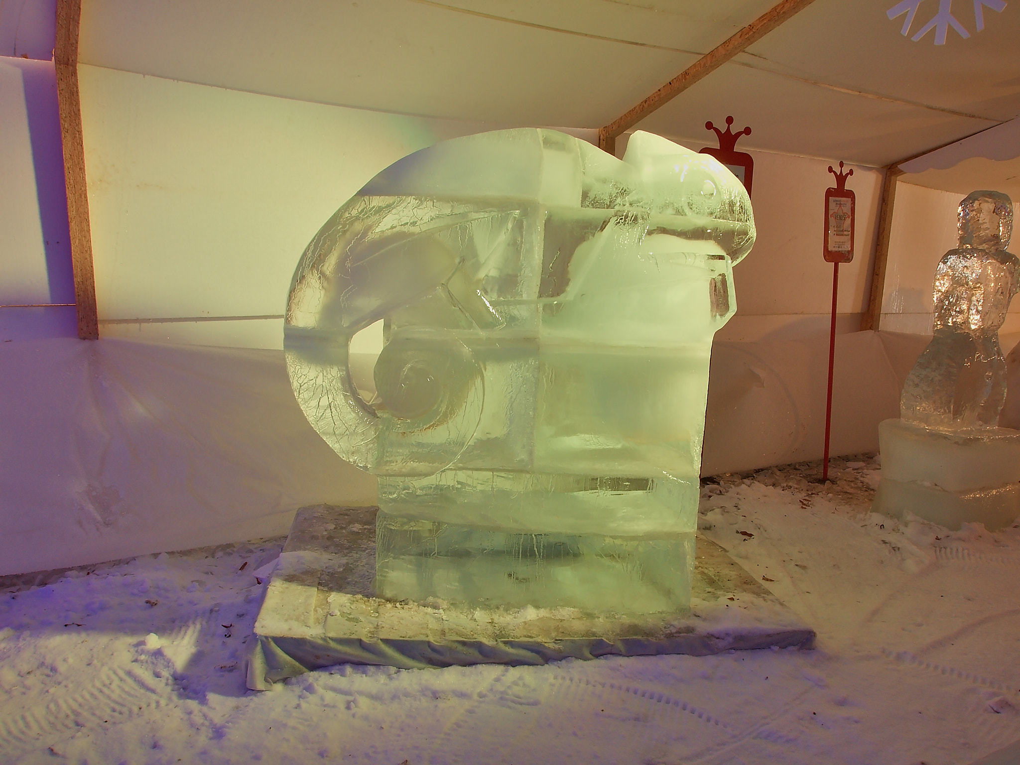 Olympus E-30 sample photo. Chameleon in iced kingdom rožnov p. r., cz, 2017 photography