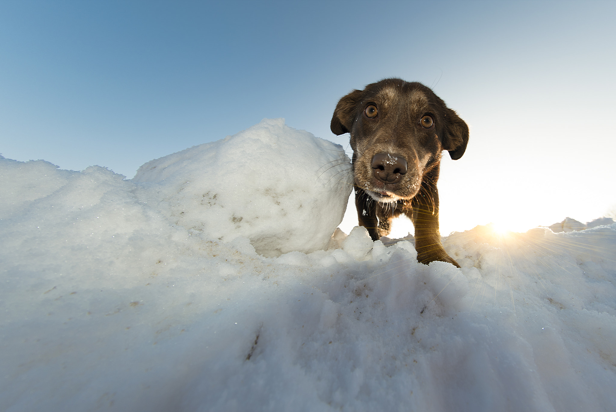 Nikon D750 + Samyang 12mm F2.8 ED AS NCS Fisheye sample photo. Snow monster photography