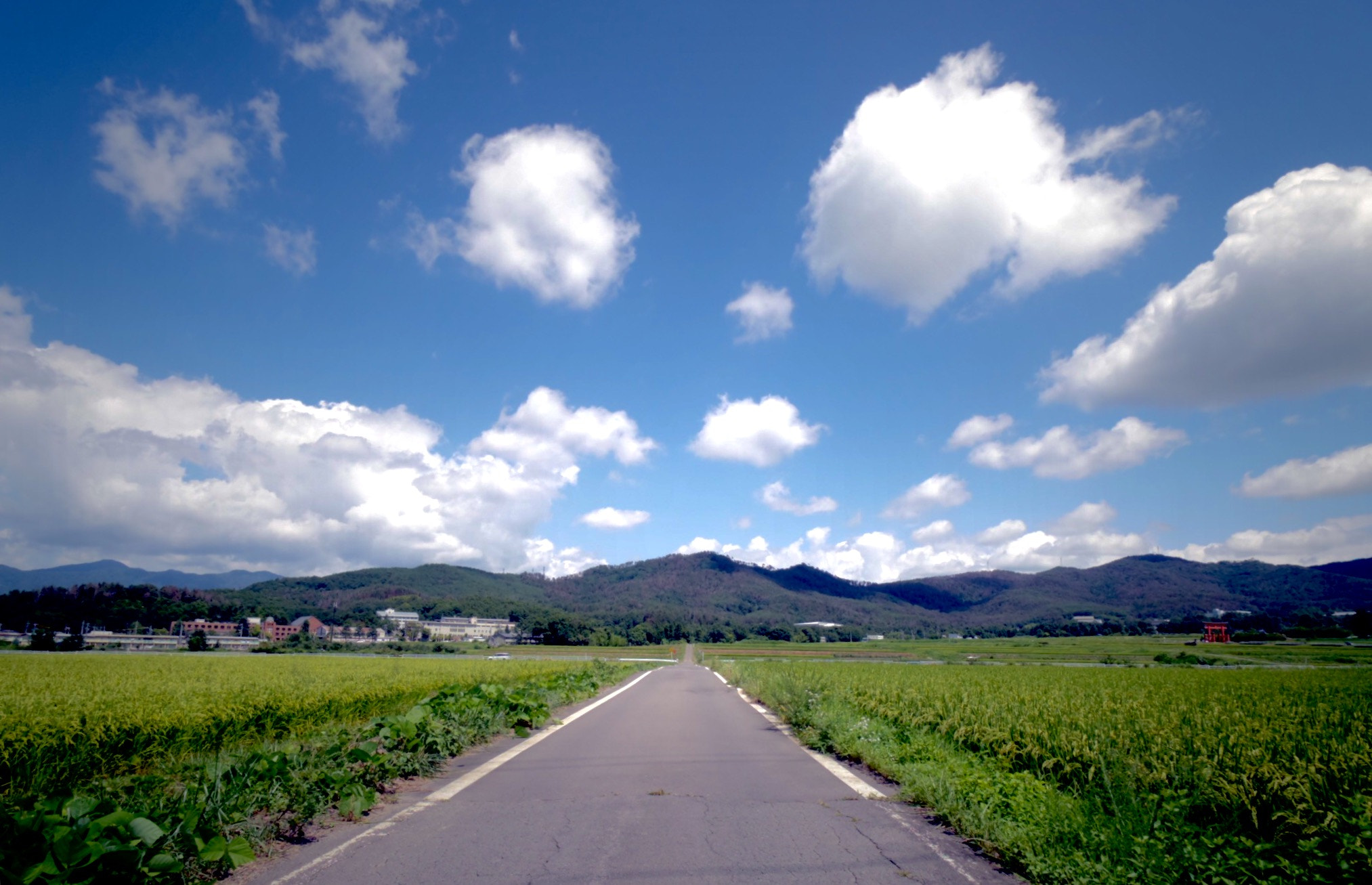 Pentax Q7 sample photo. Summer sky photography