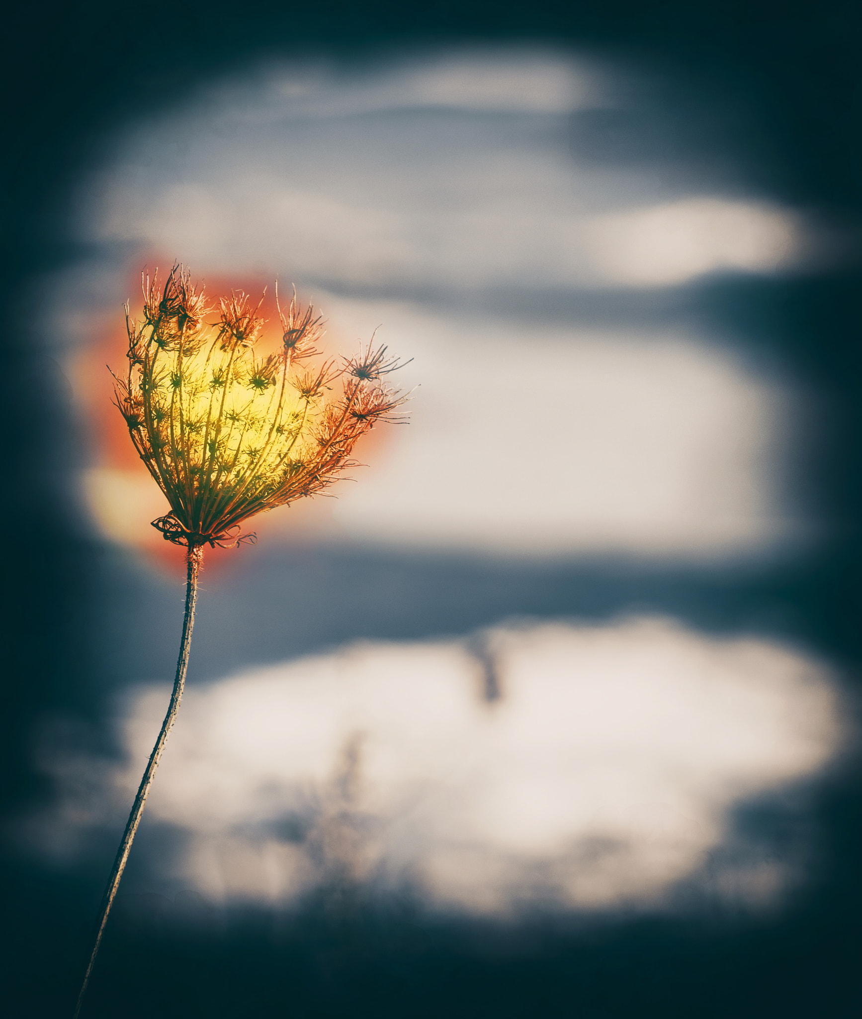 Sony a7 + Sony FE 70-200mm F4 G OSS sample photo. Abstract fireball artwork photography