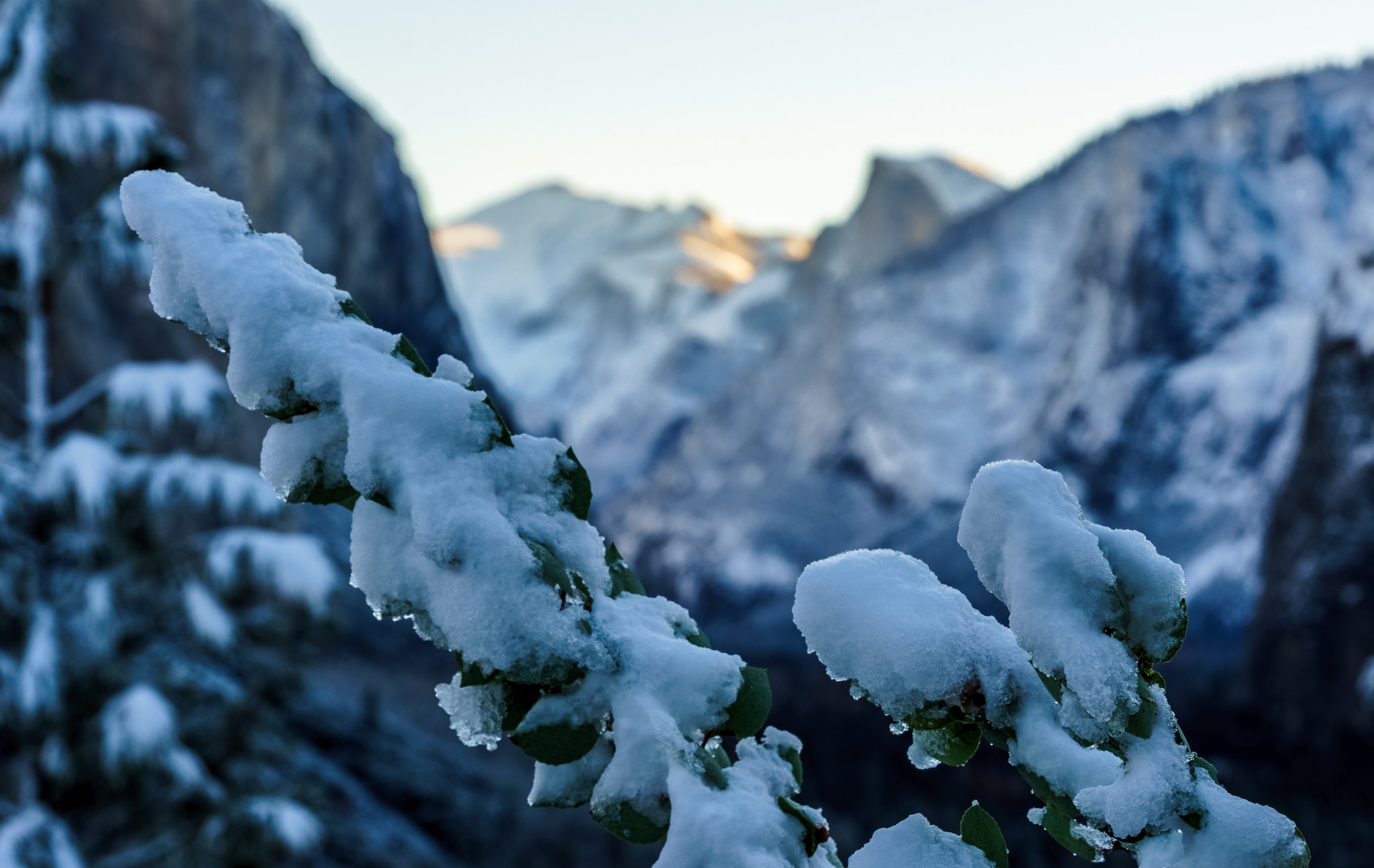 Sony a7R + Sony FE 90mm F2.8 Macro G OSS sample photo. Winter tunnel view photography