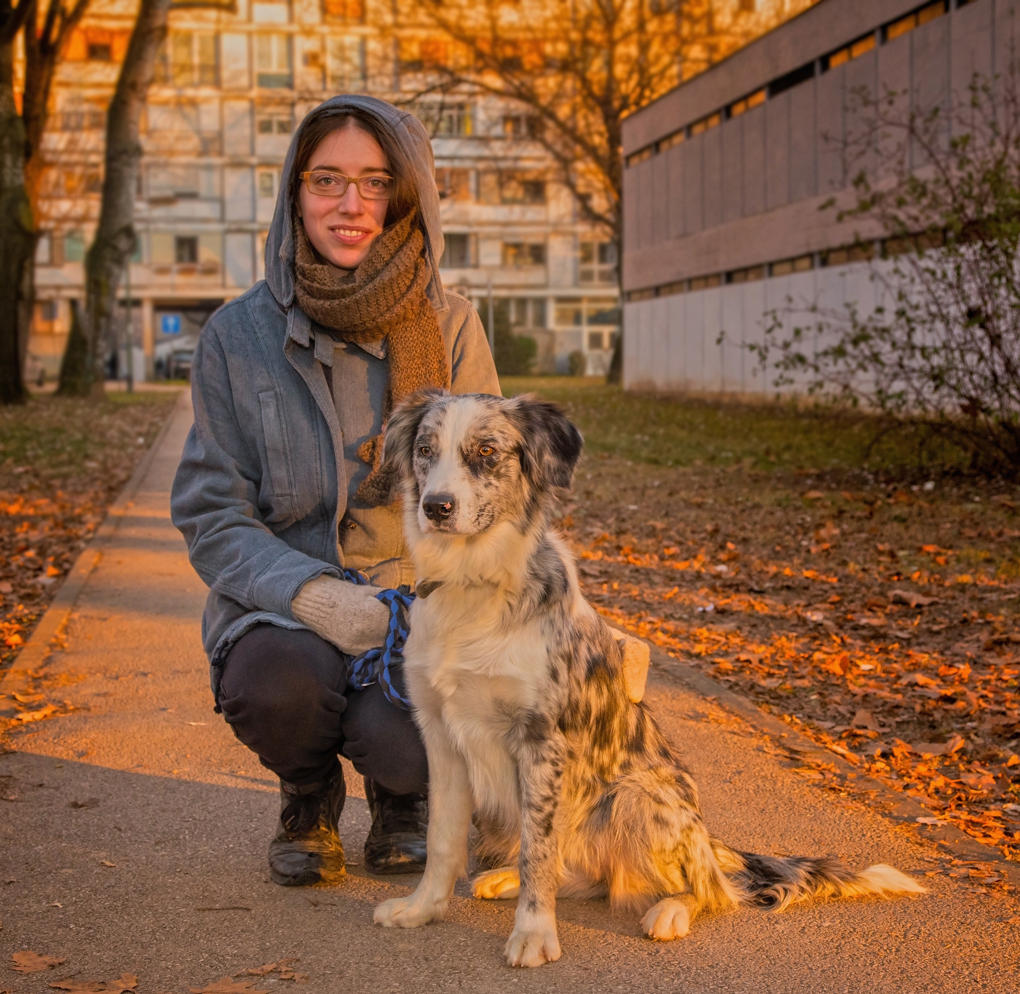 Nikon D750 + Sigma 24-60mm F2.8 EX DG sample photo. Sunny day and wet dog muzzle photography