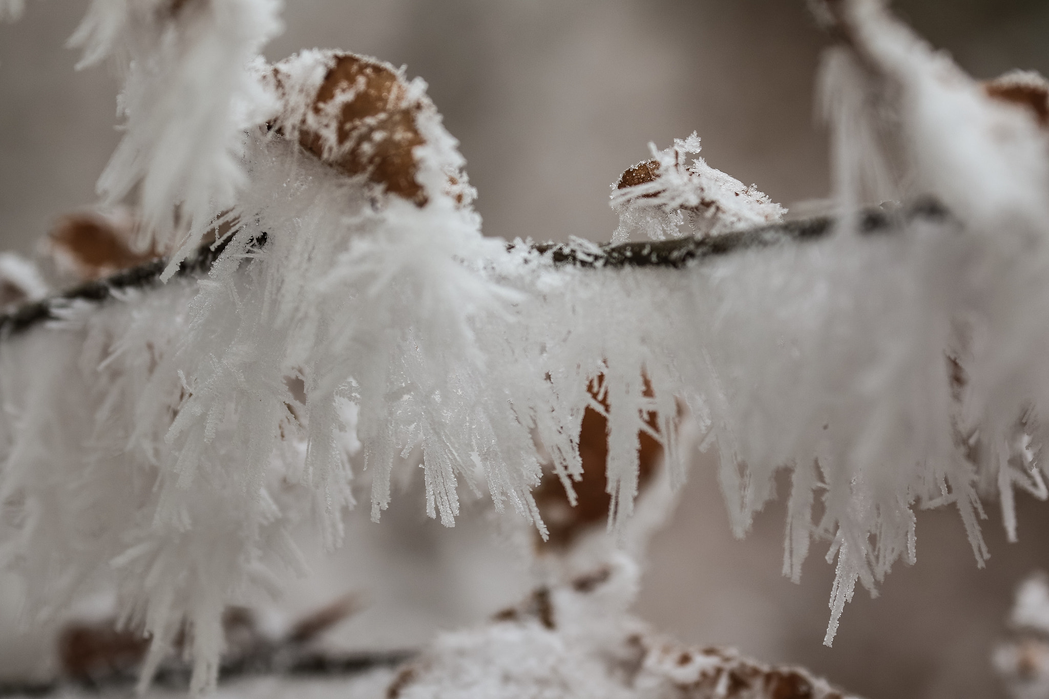 Canon EF 70-300mm F4-5.6L IS USM sample photo. Ice crystals photography