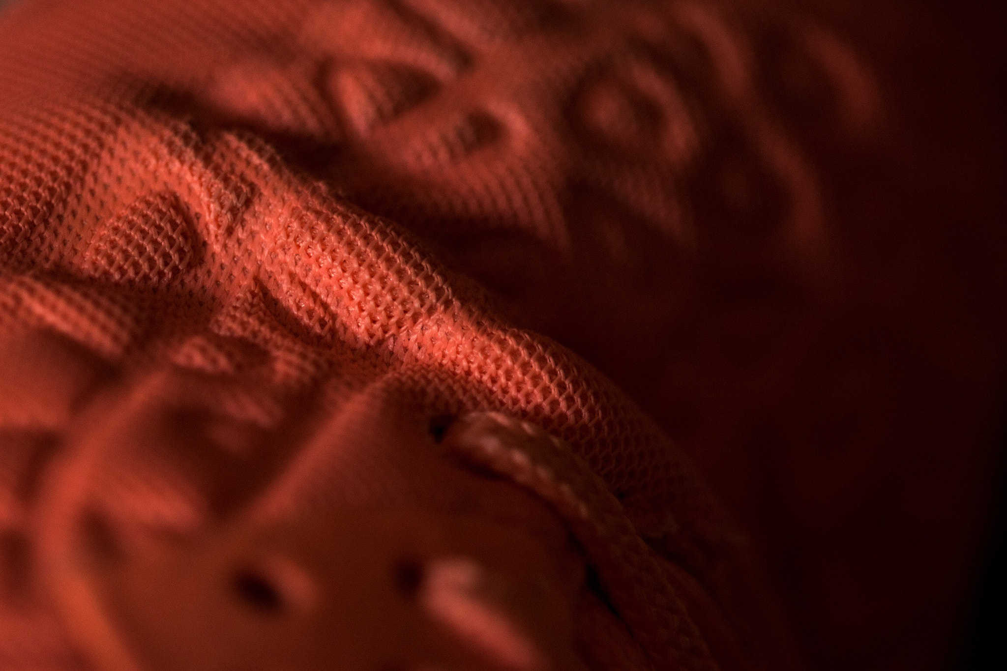 Sigma 150mm F2.8 EX DG Macro HSM sample photo. Air max photography