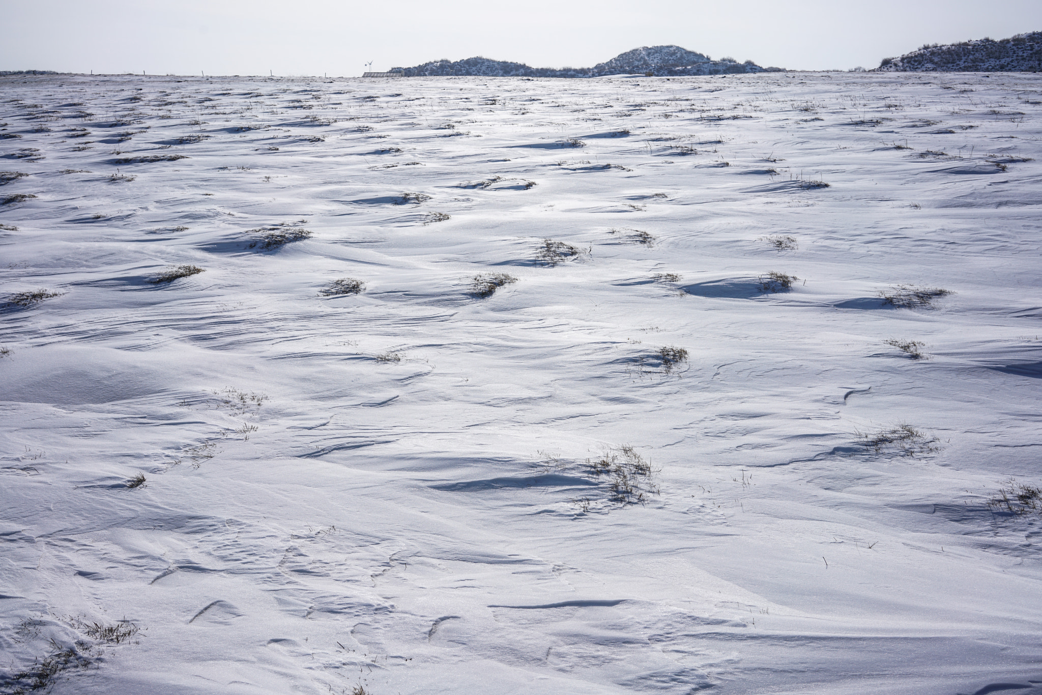Sony a7R II + Sony Sonnar T* FE 35mm F2.8 ZA sample photo. 雪季 photography
