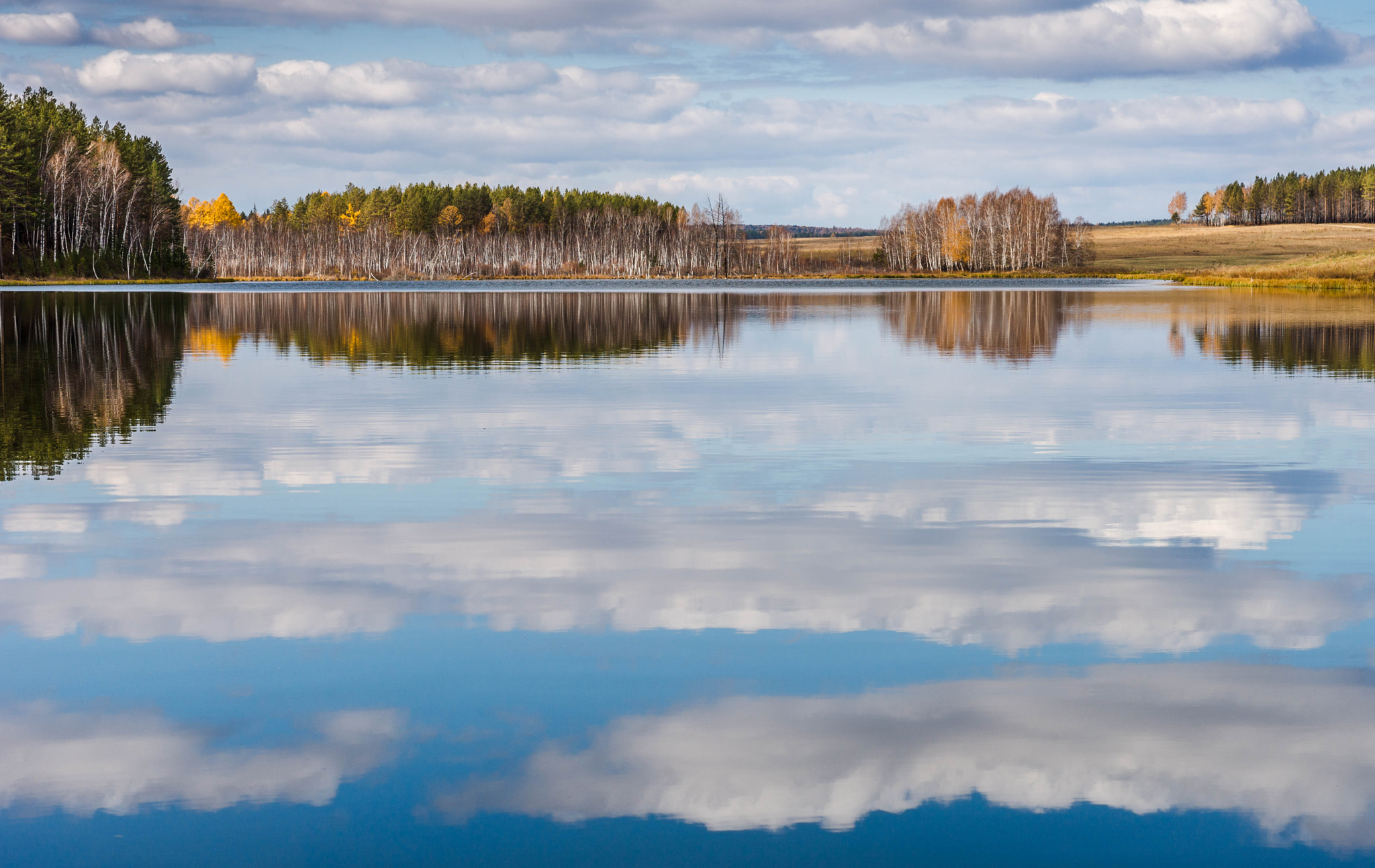 Sony Alpha a99 sample photo. Upside down photography