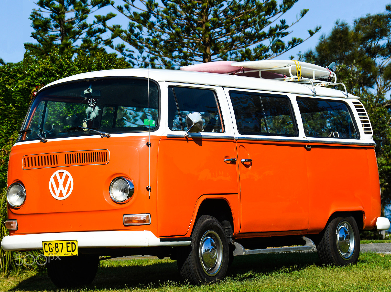 Nikon D600 sample photo. Hey dude orange is cool photography