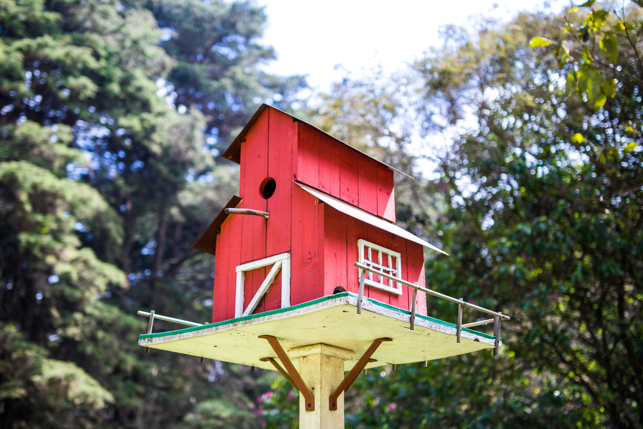 Sigma 18-35mm f/1.8 DC HSM sample photo. Birdhouse photography