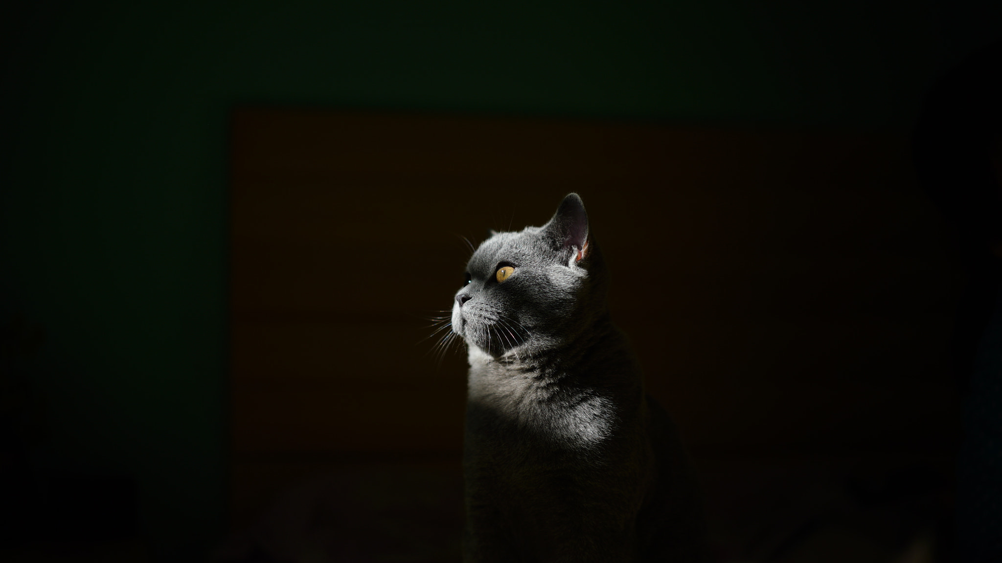 Sony a7S + Sony Sonnar T* FE 55mm F1.8 ZA sample photo