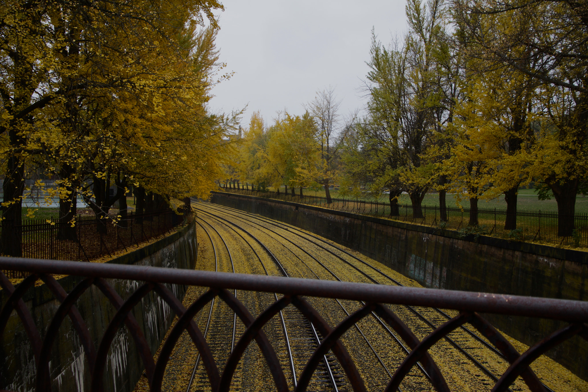 Canon EOS 50D sample photo. Patience photography