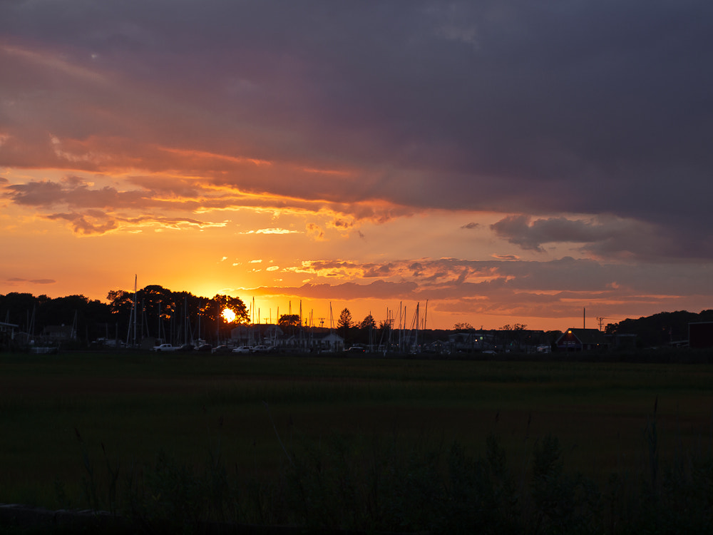 OLYMPUS 14-42mm Lens sample photo. Late summer sun photography