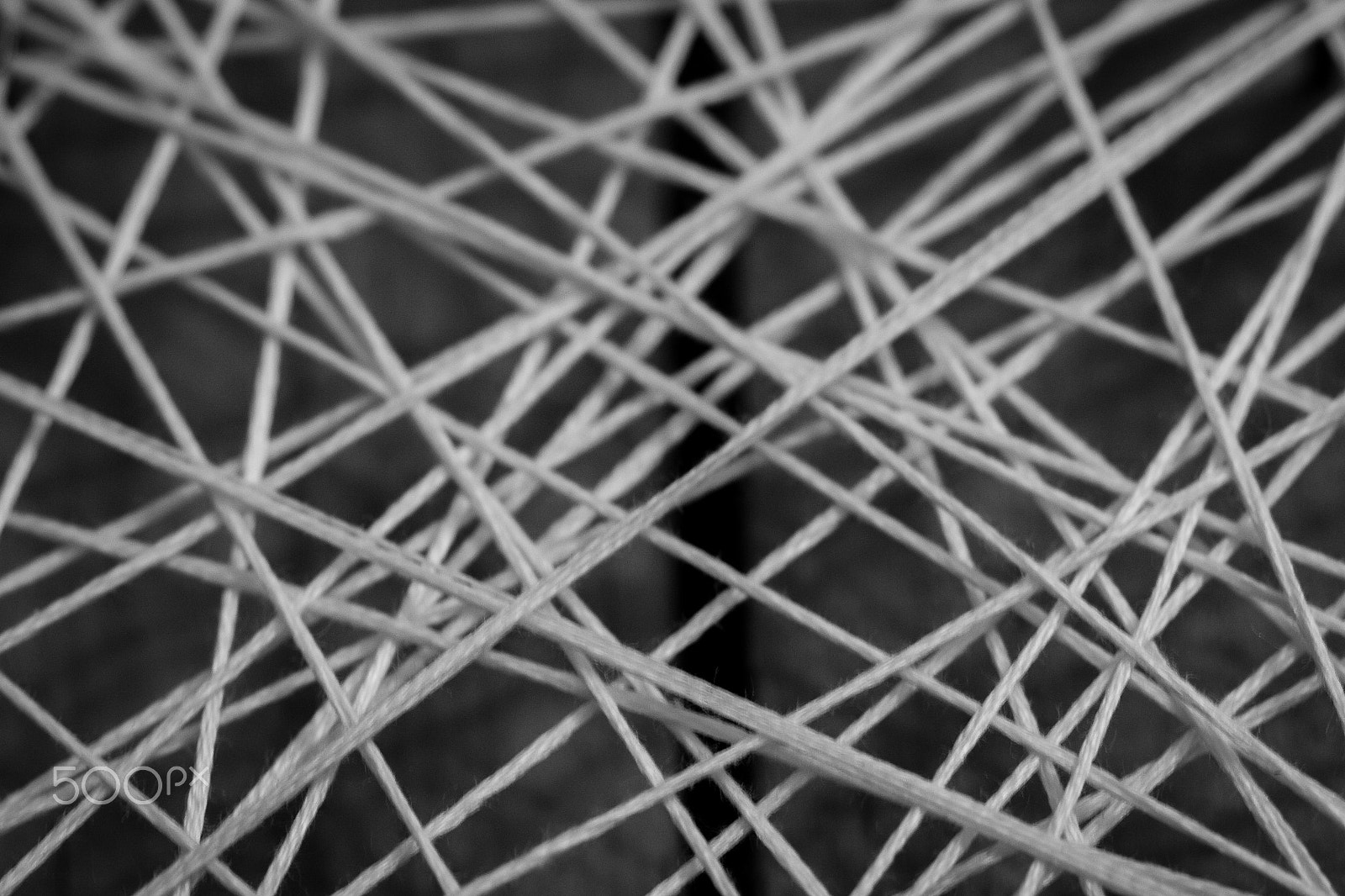 Canon EF 100mm F2.8L Macro IS USM sample photo. _mg_3303-22.jpg photography