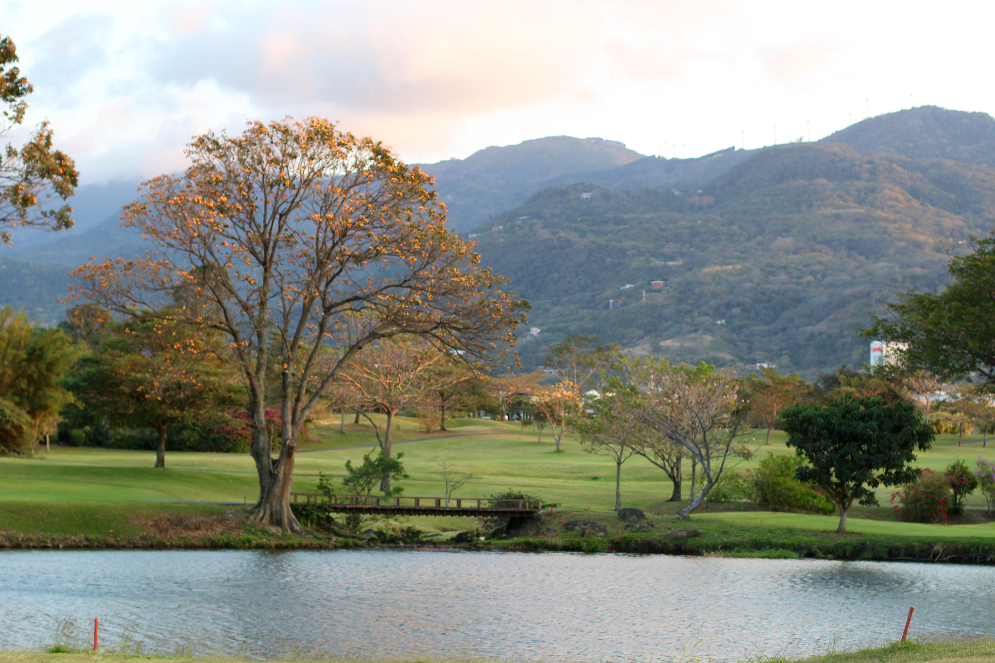 Canon EF 50mm F1.4 USM sample photo. Santa ana costa rica photography
