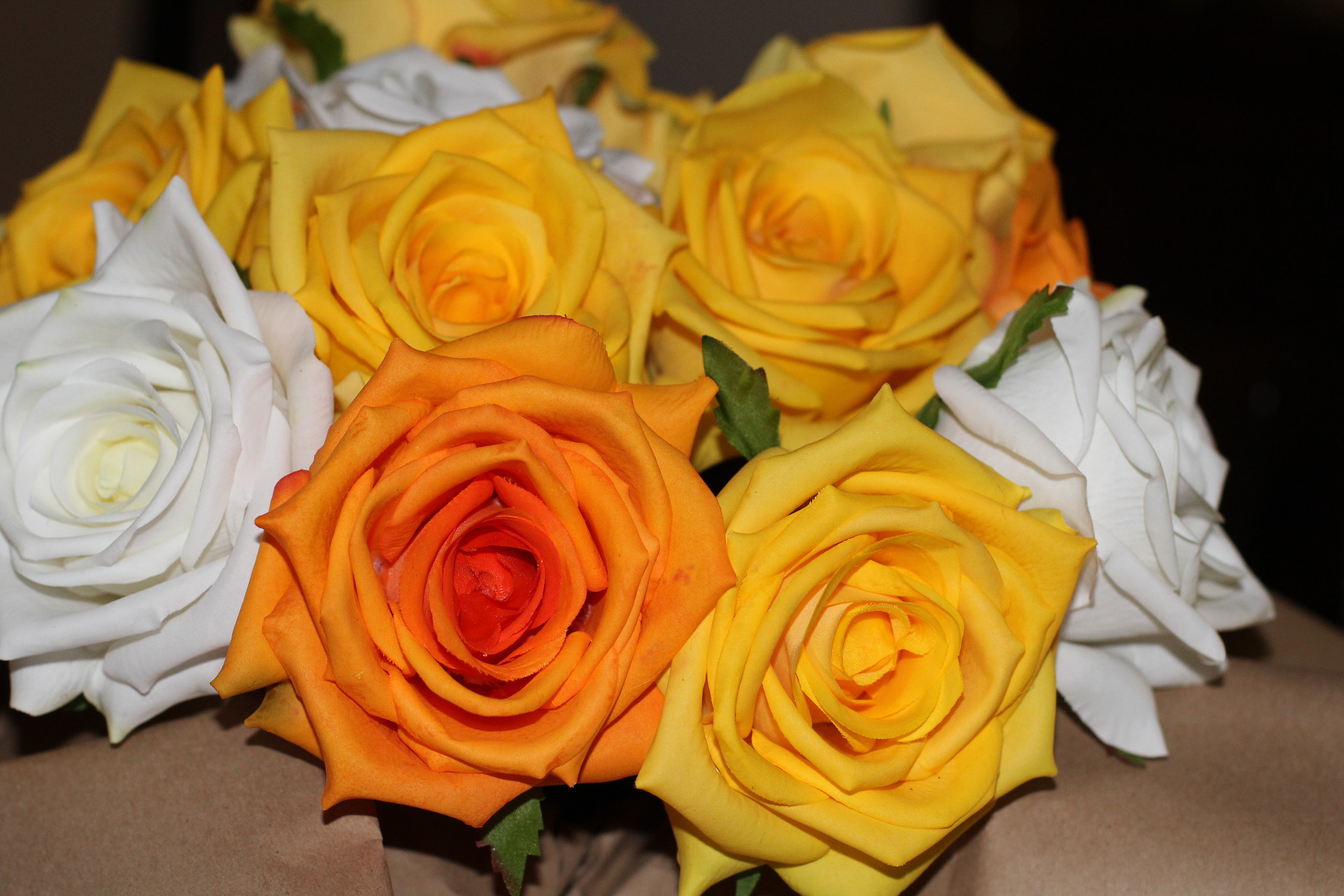Canon EF 50mm F1.4 USM sample photo. Just flowers photography