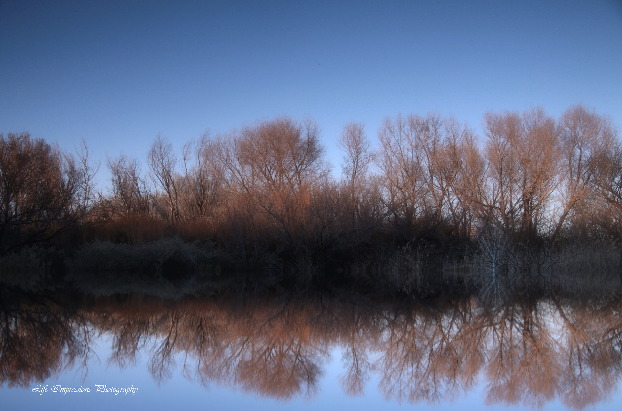 Canon EF-S 17-85mm F4-5.6 IS USM sample photo. Earths color photography