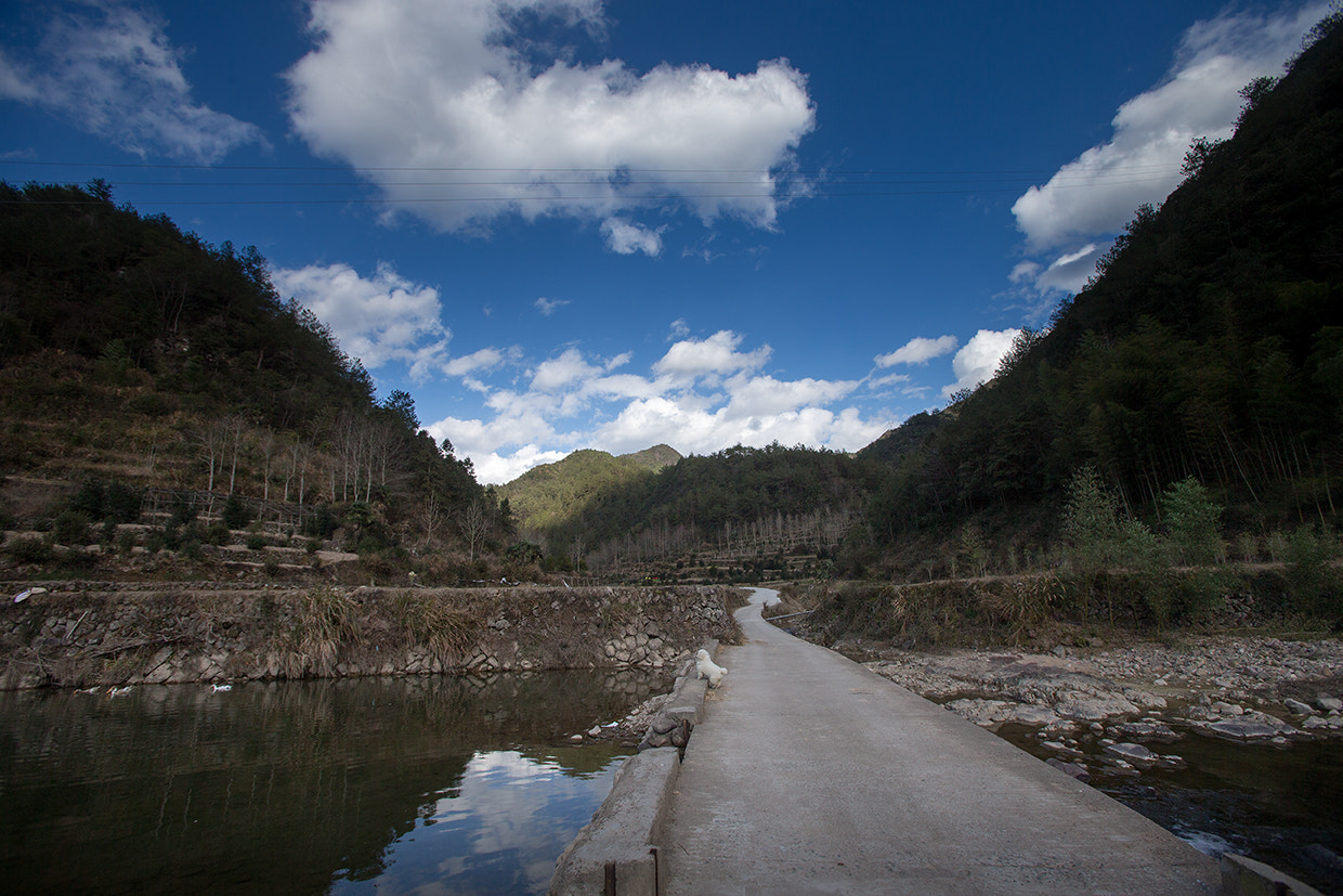 Canon EOS-1D X + Canon EF 16-35mm F2.8L USM sample photo