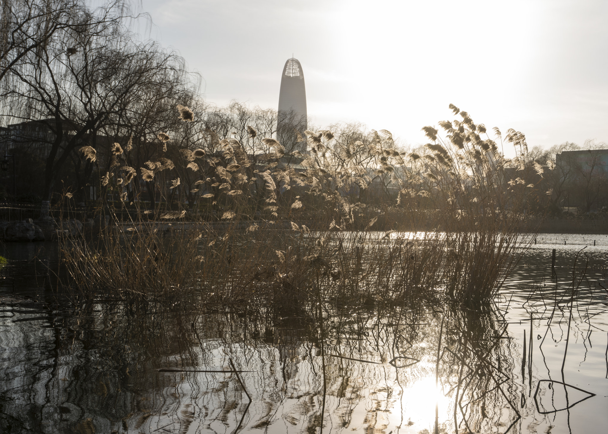 Sony a99 II + Sony Vario-Sonnar T* 16-35mm F2.8 ZA SSM sample photo