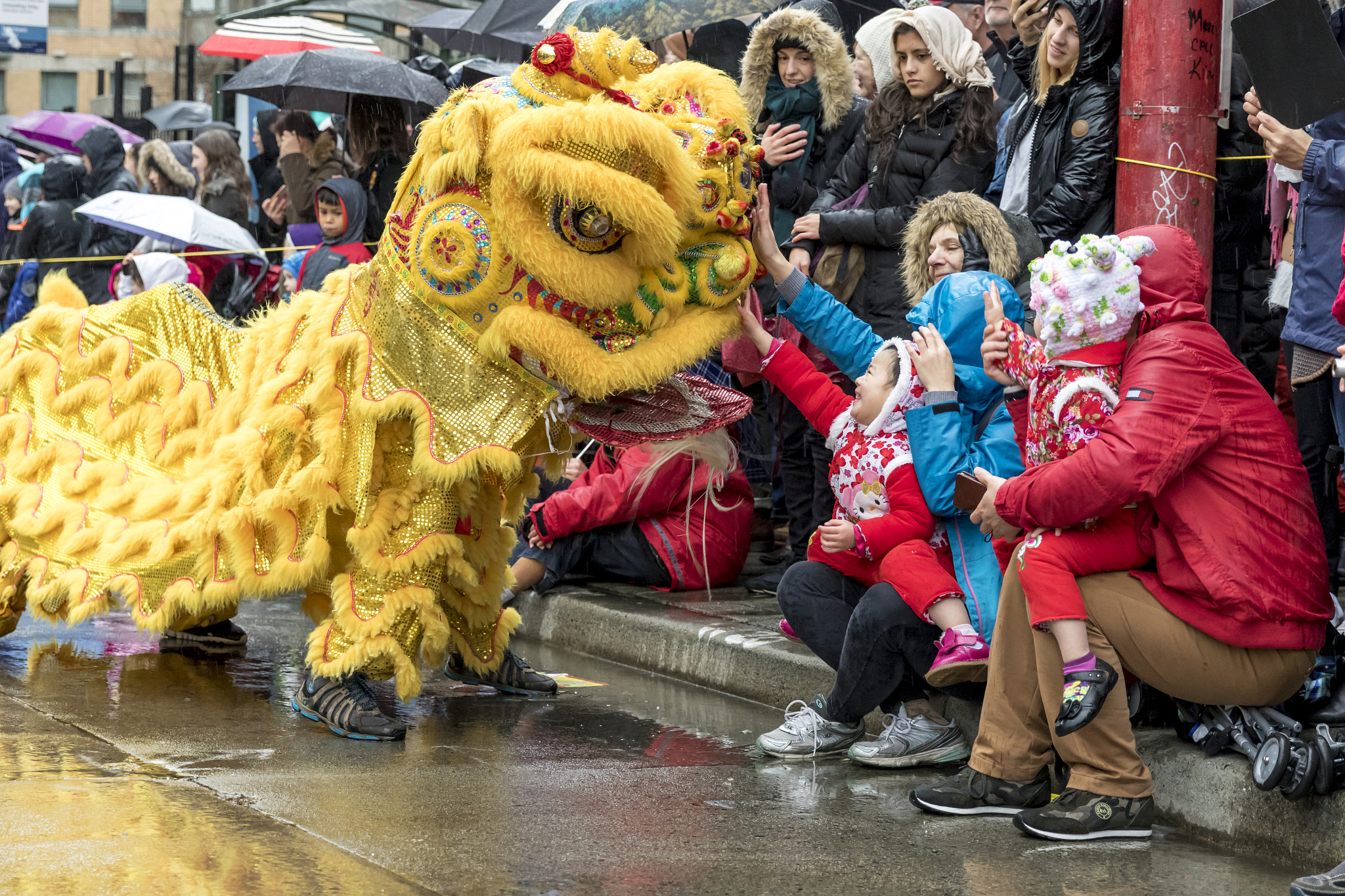 Canon EF 24-70mm F2.8L II USM sample photo. Chinese new year vancouver photography