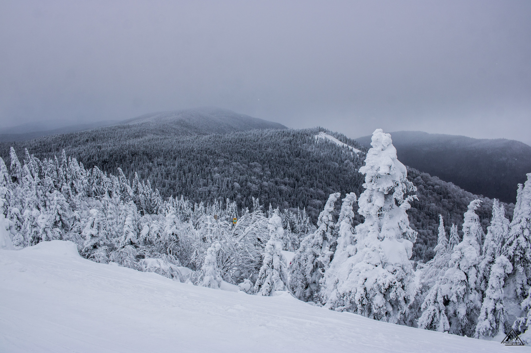 Canon EF-S 24mm F2.8 STM sample photo. Beyond the trees photography