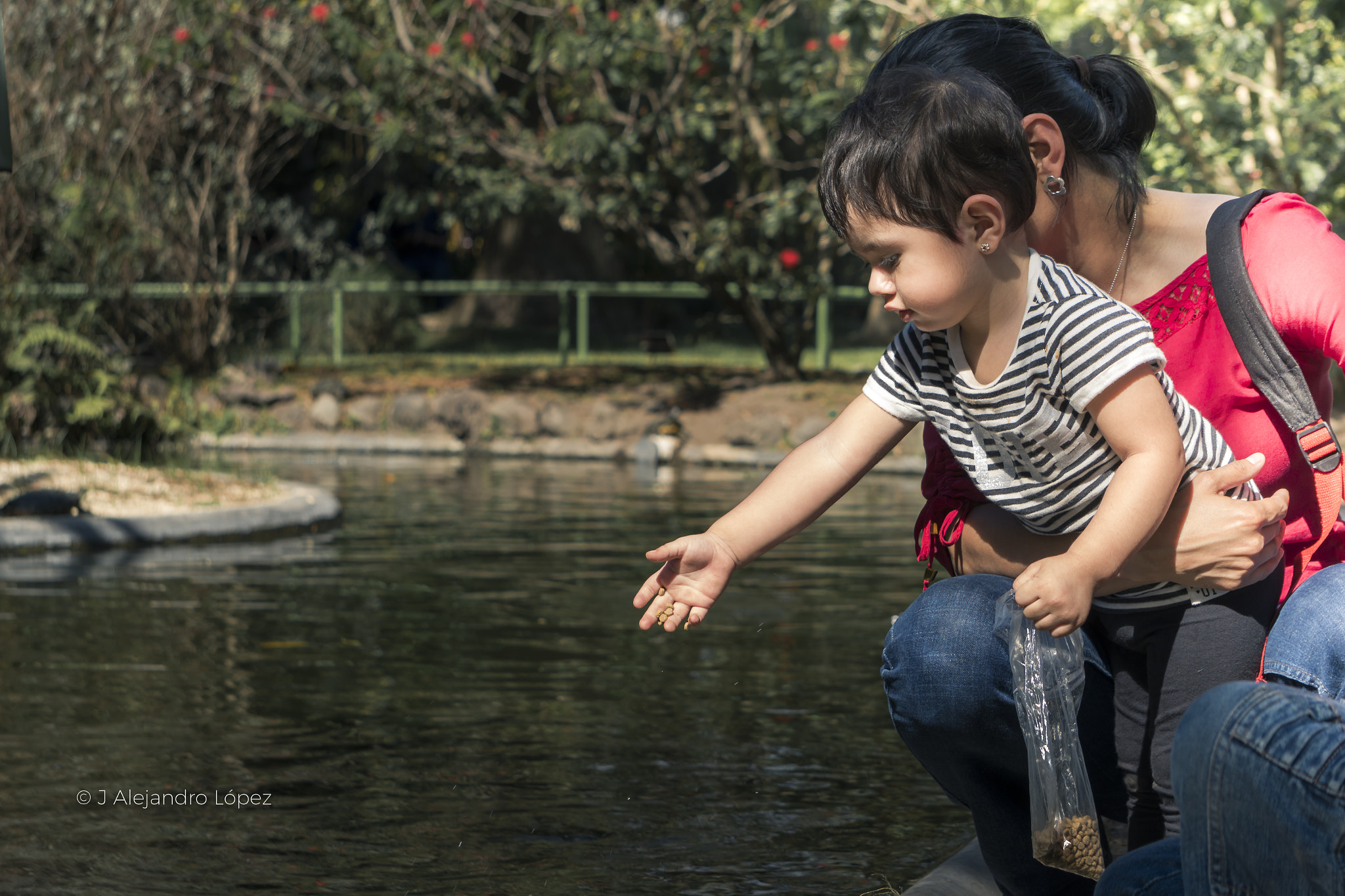 Sony a6300 + Sony E 55-210mm F4.5-6.3 OSS sample photo. Mi pequeña photography