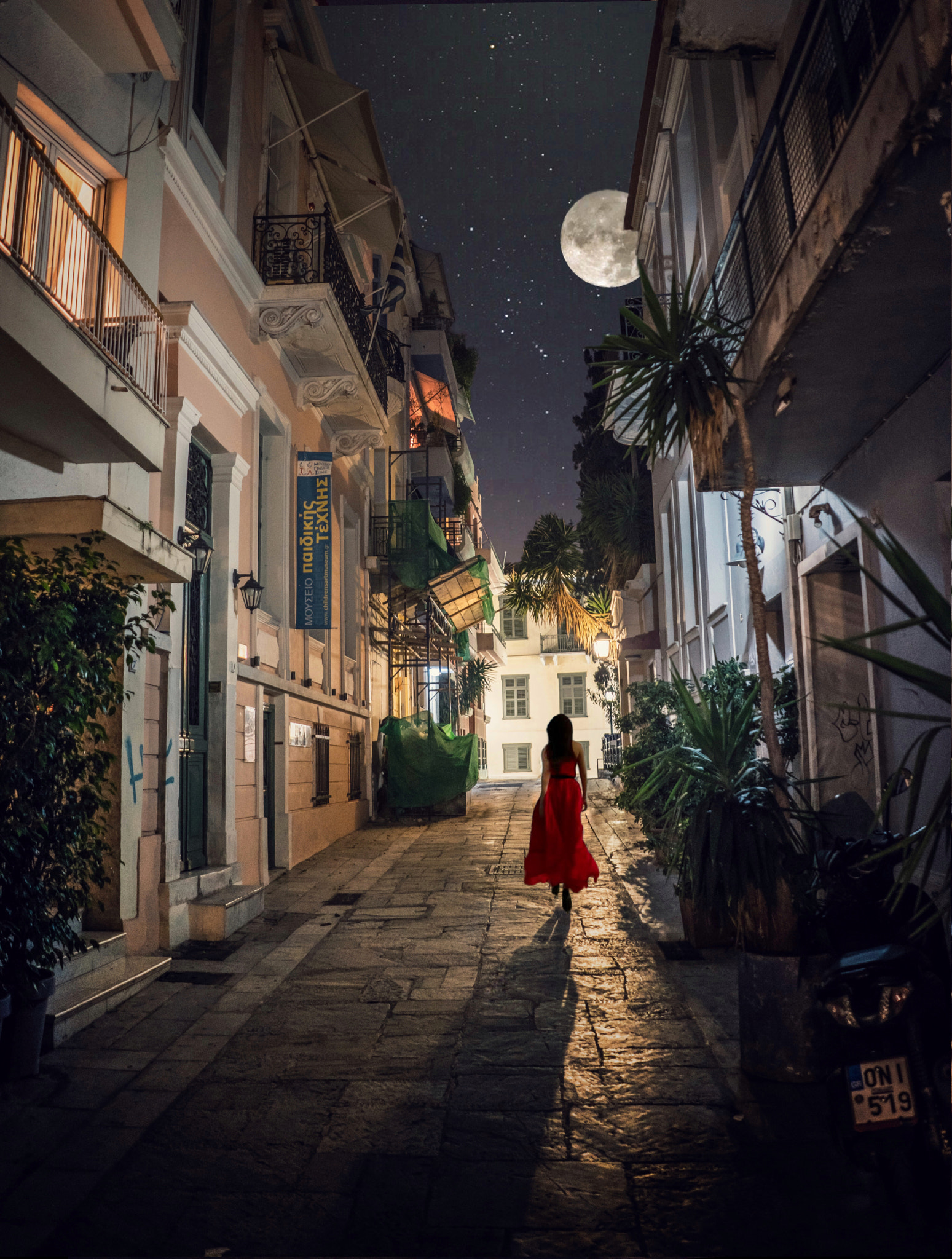 Sony a7R II sample photo. Moonlit stroll photography