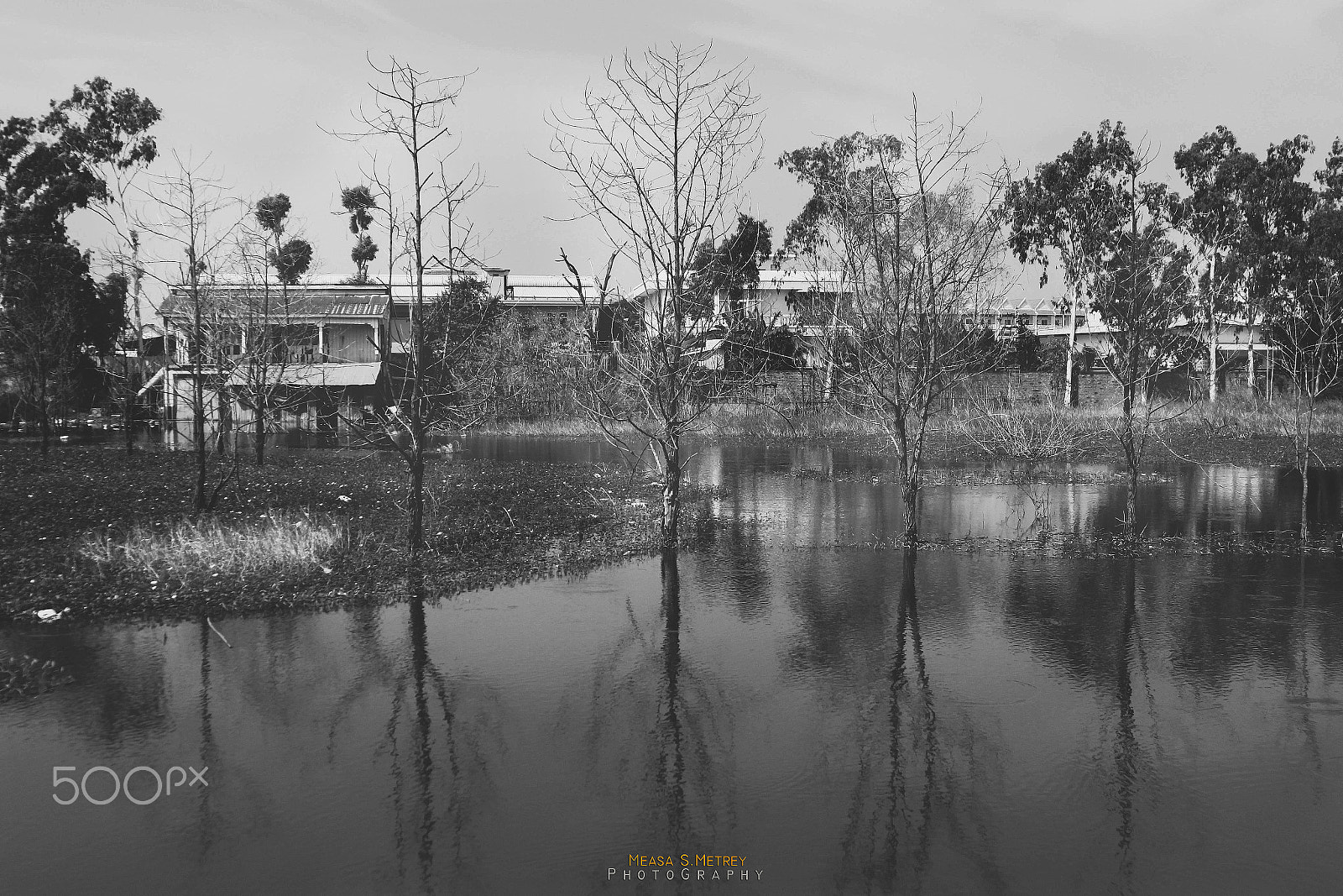 Canon EOS 700D (EOS Rebel T5i / EOS Kiss X7i) + Canon EF 24-105mm F4L IS USM sample photo. Lonely tress in the pond photography