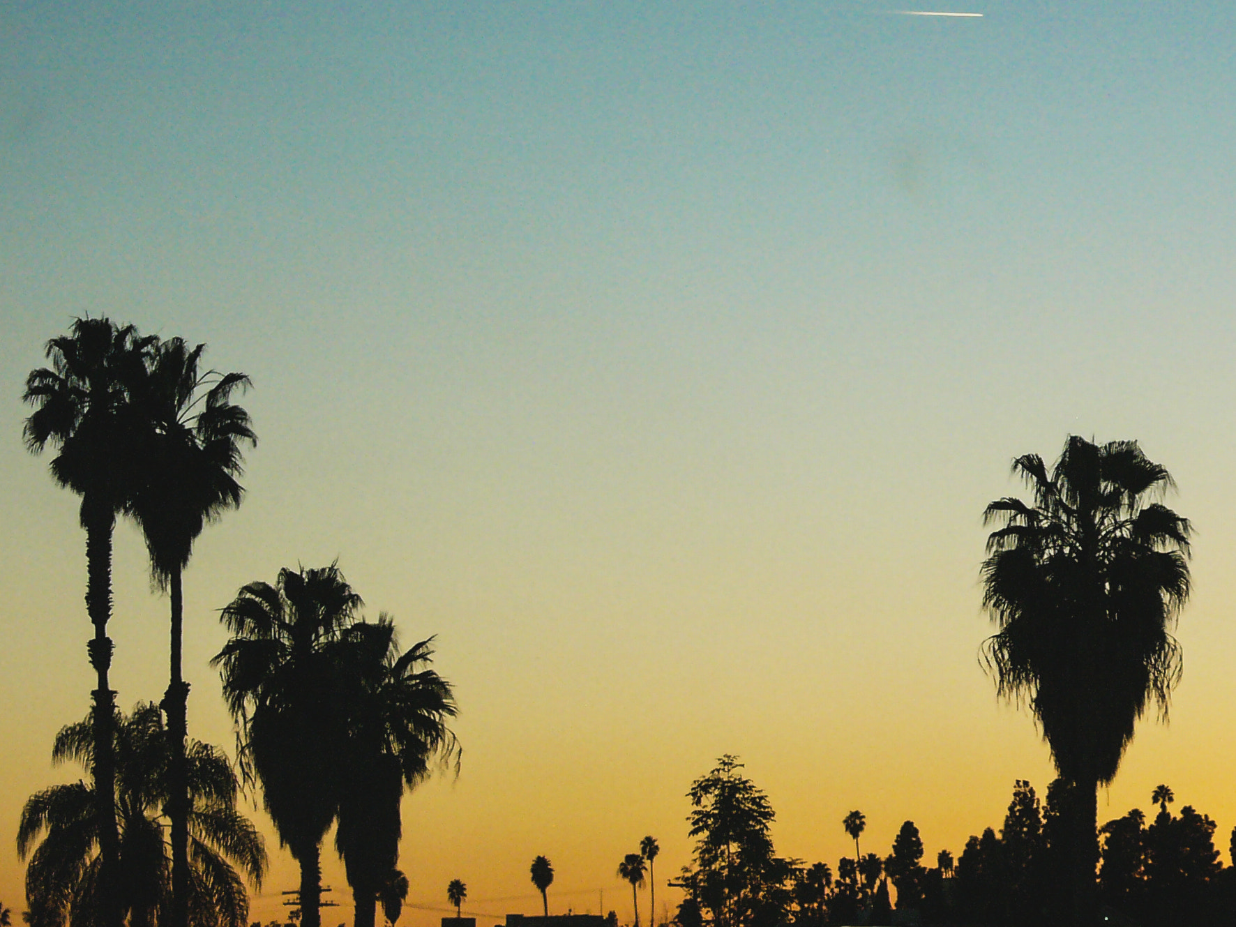 Leica DIGILUX 2 sample photo. Sunset on sunset photography