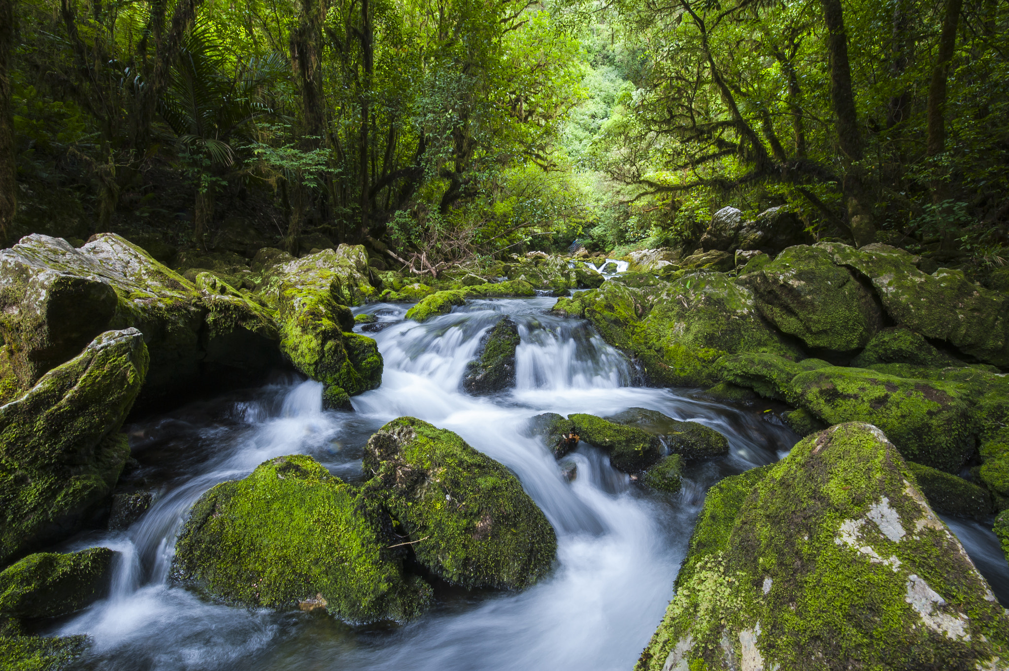 Tamron SP 15-30mm F2.8 Di VC USD sample photo. Riwaka spring photography