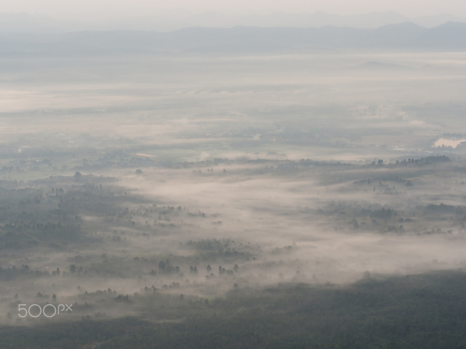 Olympus OM-D E-M5 + Olympus M.Zuiko Digital ED 40-150mm F2.8 Pro sample photo. Morning fog photography
