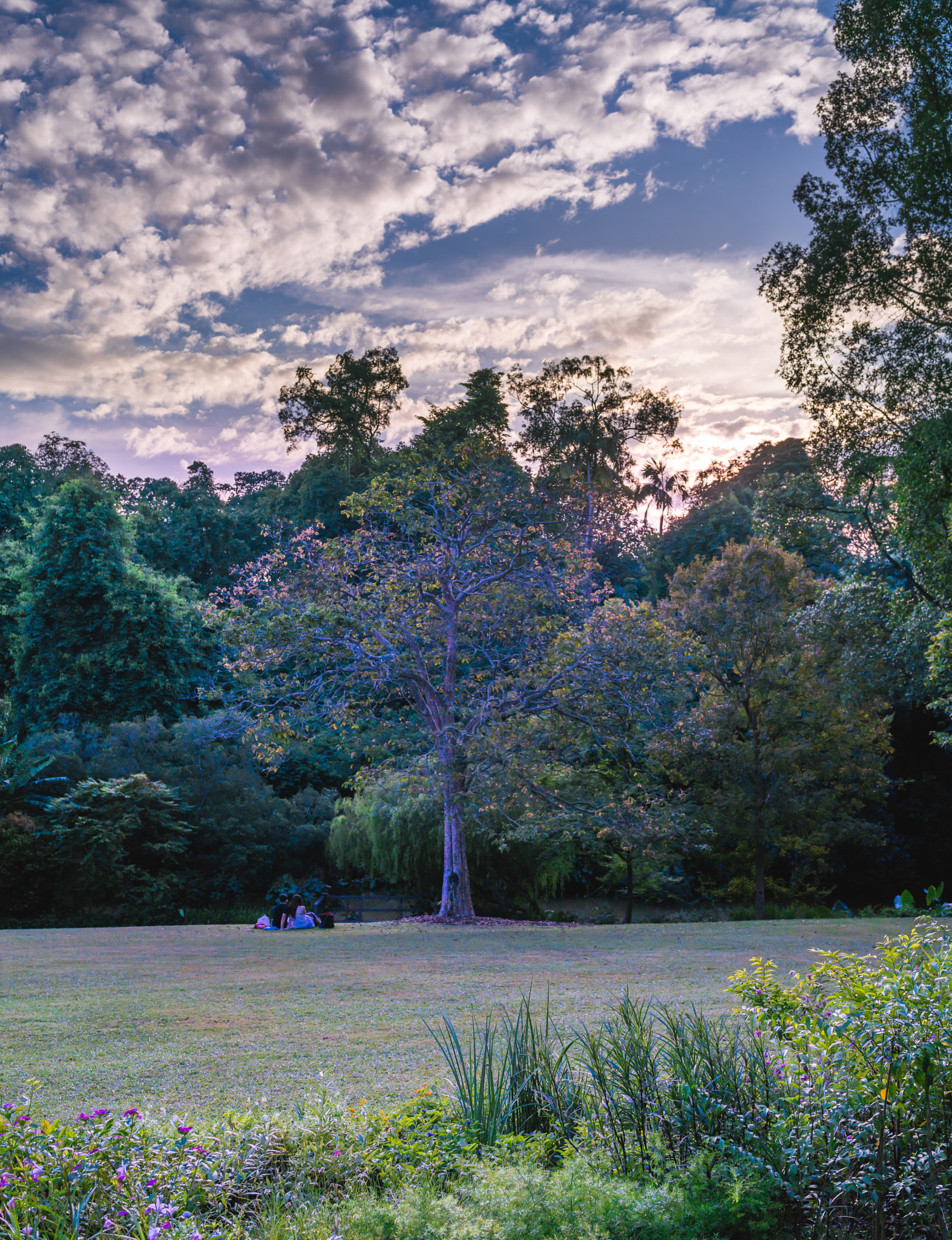 Sony a7R II + Sony Sonnar T* FE 35mm F2.8 ZA sample photo. Wonderland photography