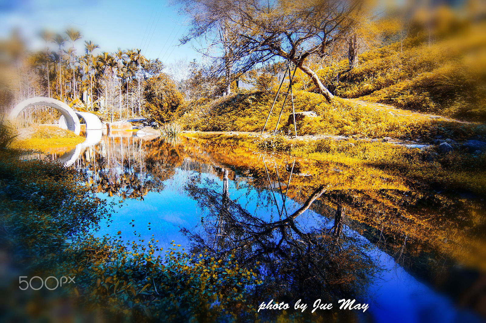 Sony SLT-A77 + 20mm F2.8 sample photo. 戒指傳說 photography