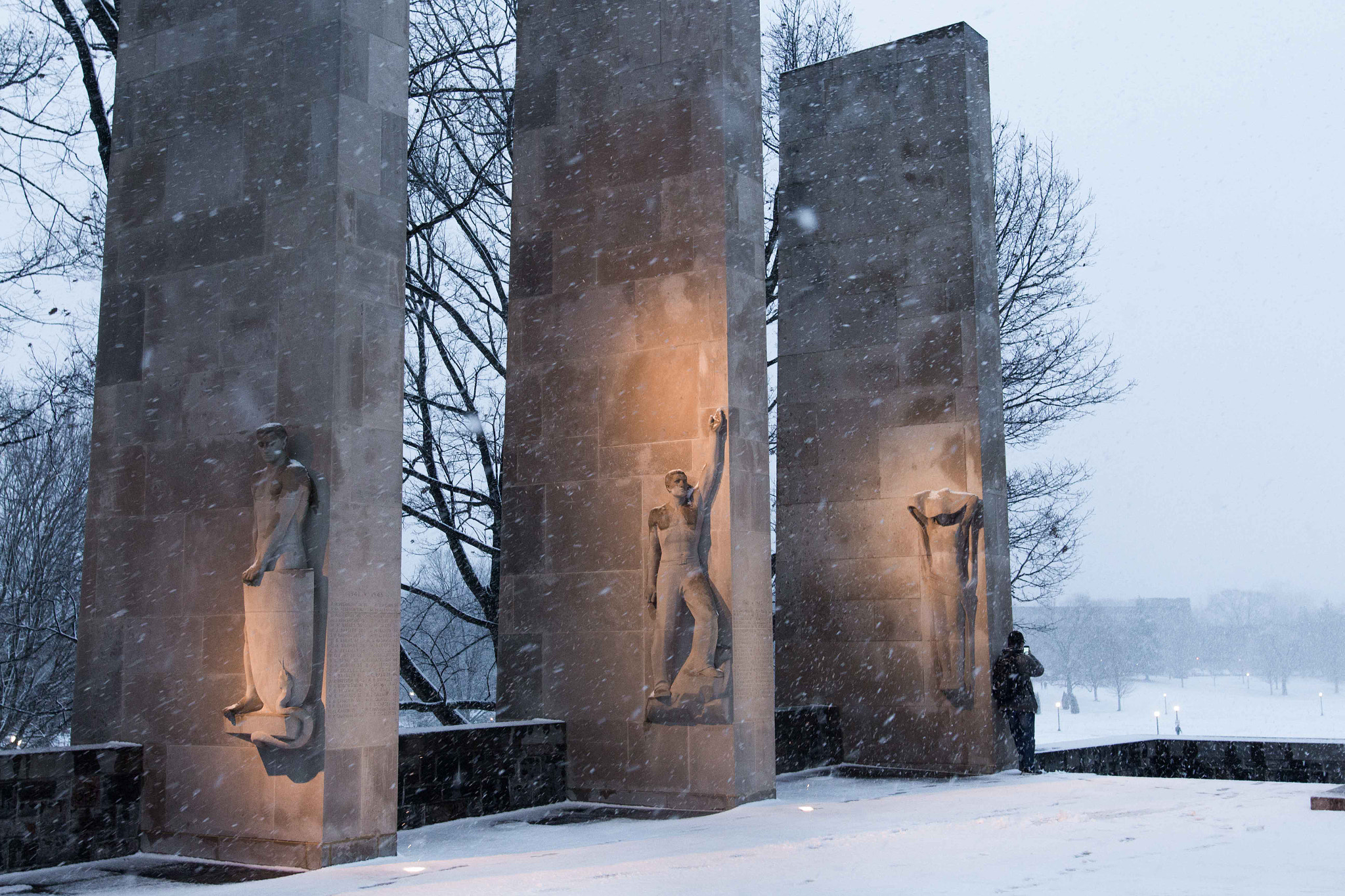 Sigma 24mm F1.4 DG HSM Art sample photo. Snowy pylons photography