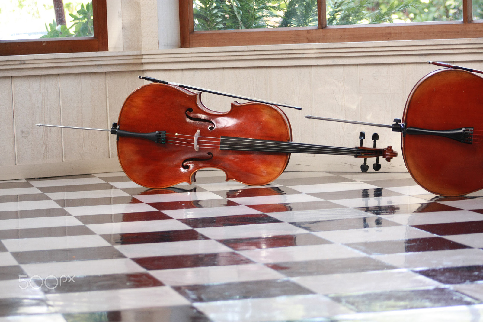 Canon EOS 450D (EOS Rebel XSi / EOS Kiss X2) sample photo. Cello photography