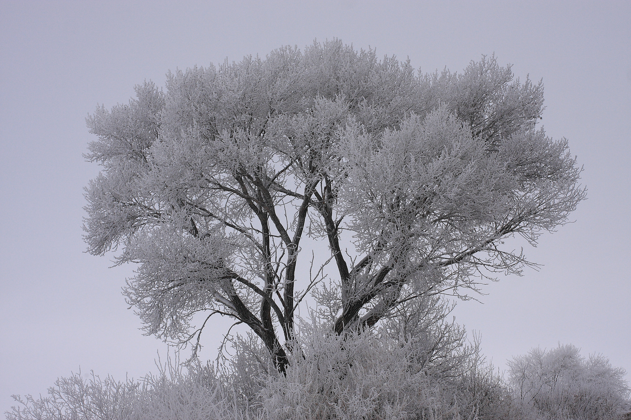 Canon EF 40mm F2.8 STM sample photo