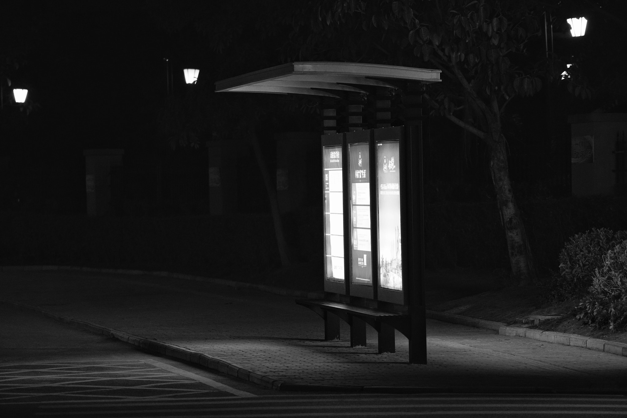 Sony FE 70-200mm F4 G OSS sample photo. Lonely photography