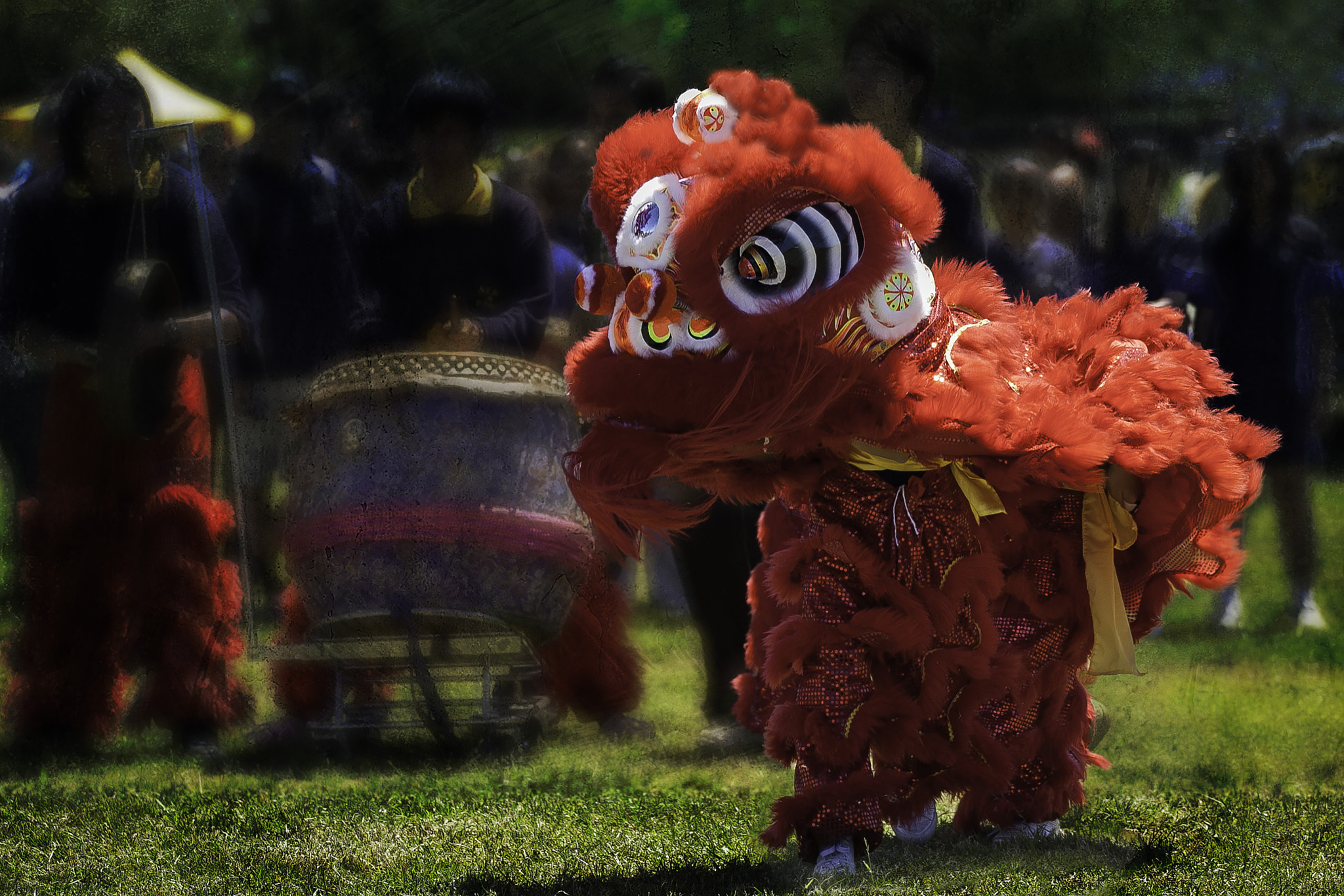 Canon EOS 5D Mark II + Canon EF 70-200mm F2.8L IS II USM sample photo. Lion dance photography