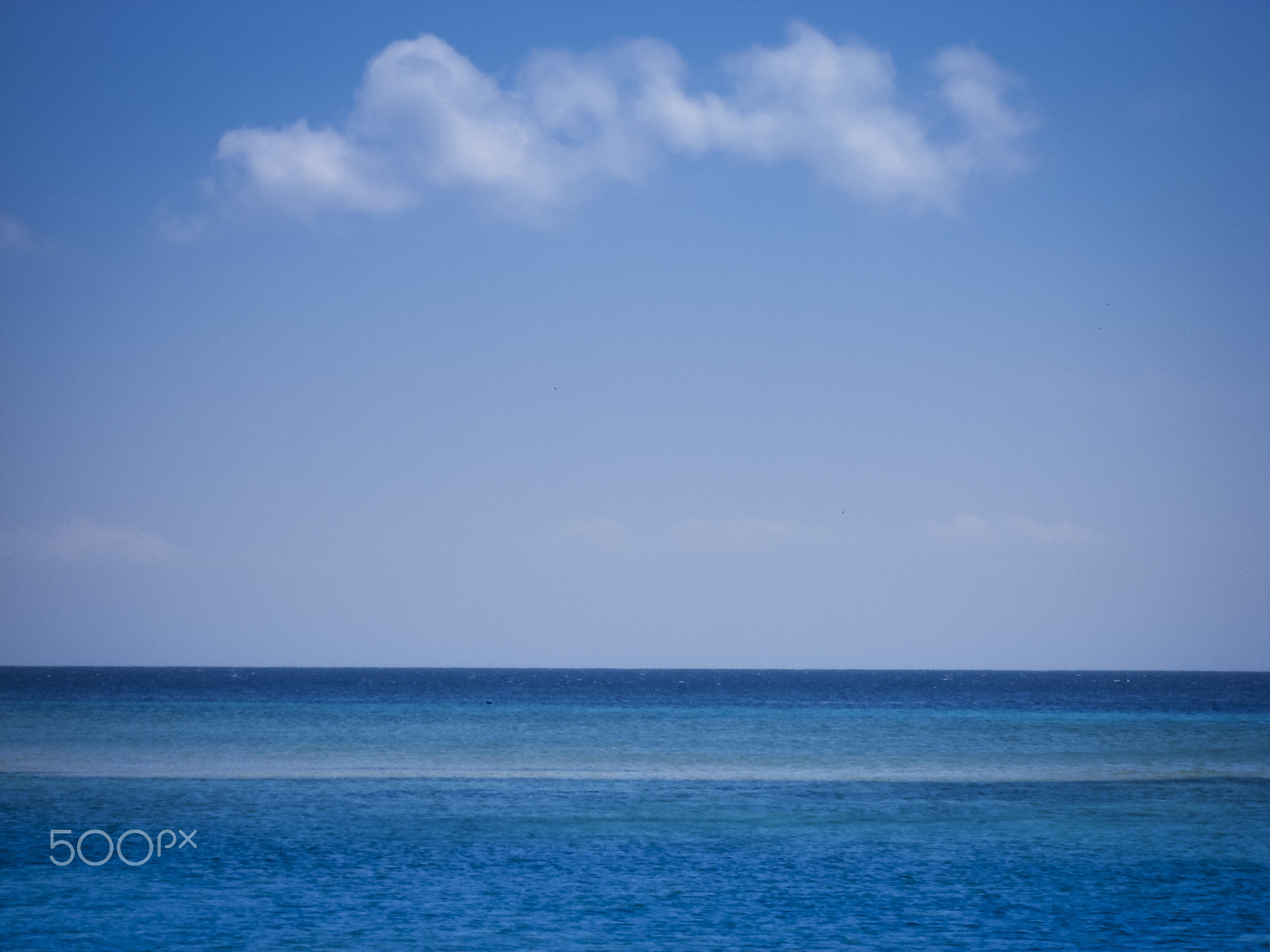 Canon DIGITAL IXUS 800 IS sample photo. Open ocean sea background photography