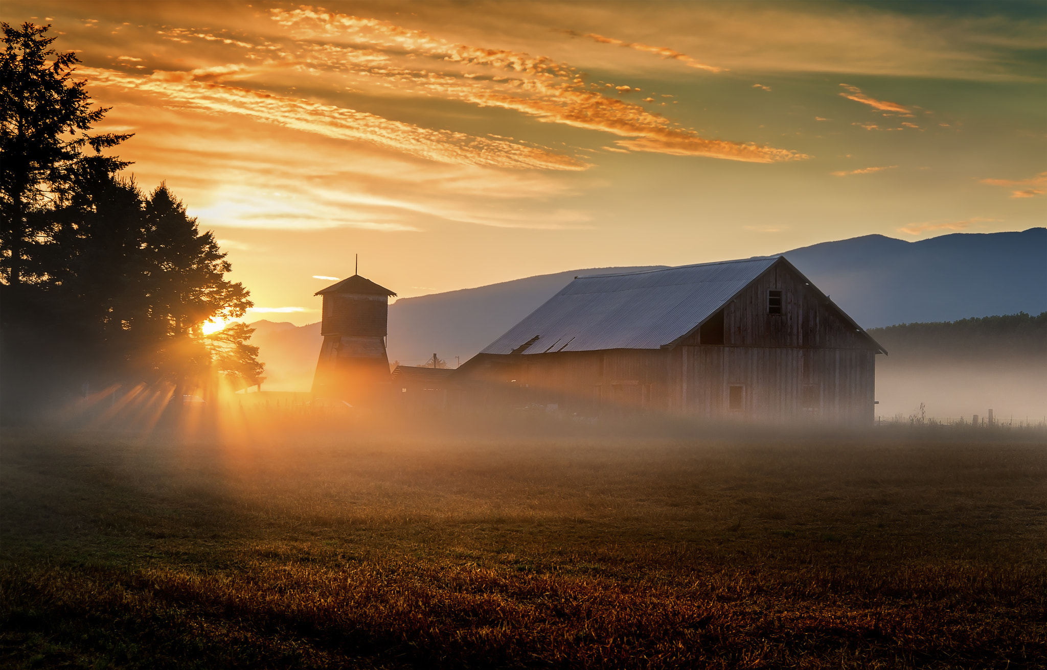 Nikon AF Nikkor 24-85mm F2.8-4D IF sample photo. Golden mist photography