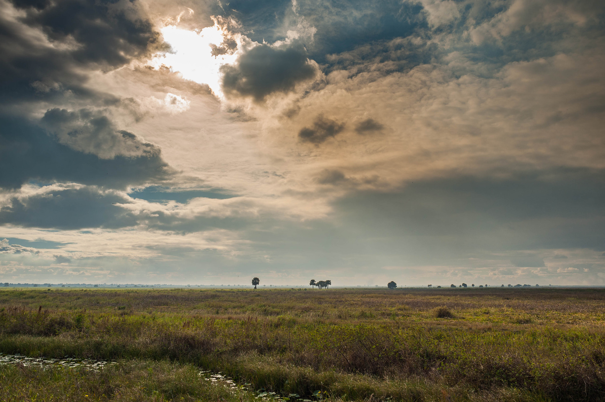 Nikon D700 + AF Nikkor 28mm f/2.8 sample photo. Sunlight on the swamp photography