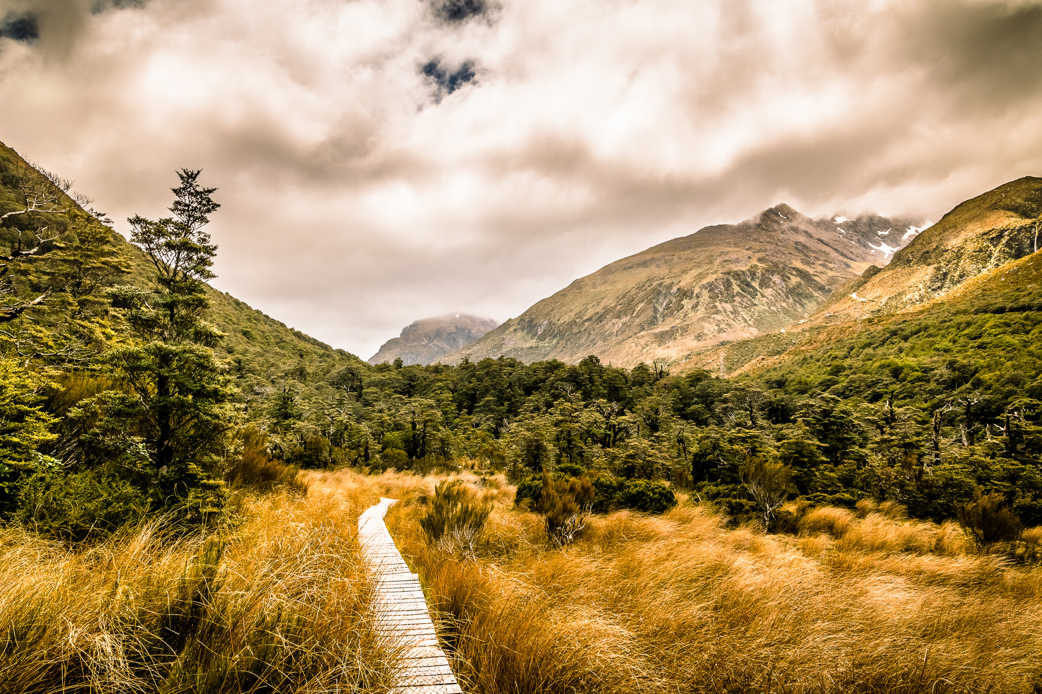 Nikon D5500 sample photo. Arthurs pass national park photography