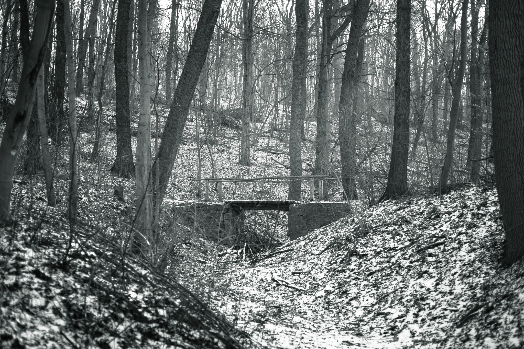 E 50mm F2 sample photo. The bridge photography