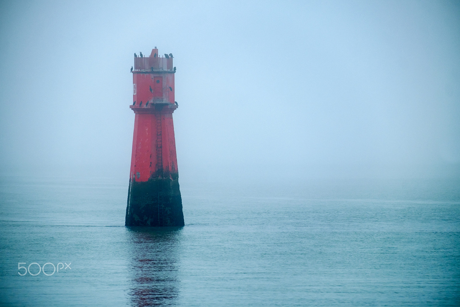 Fujifilm XF 55-200mm F3.5-4.8 R LM OIS sample photo. Dans la brume photography