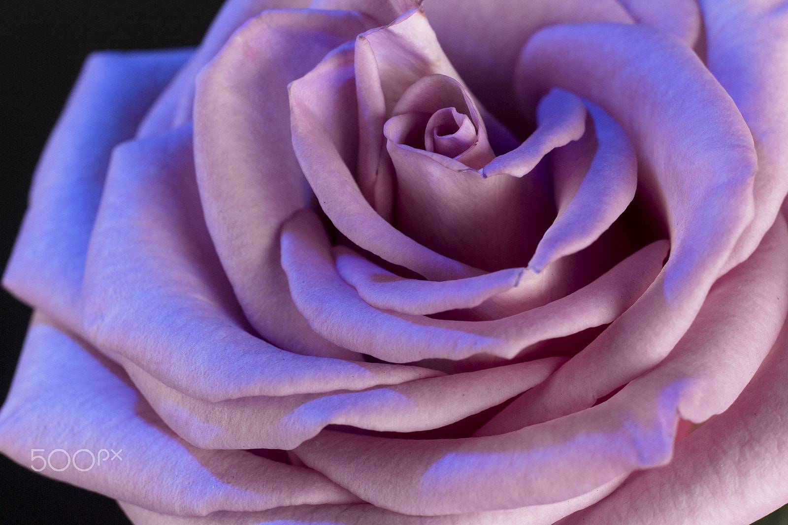 Canon EF 35-80mm f/4-5.6 sample photo. «fragancia nocturna» photography
