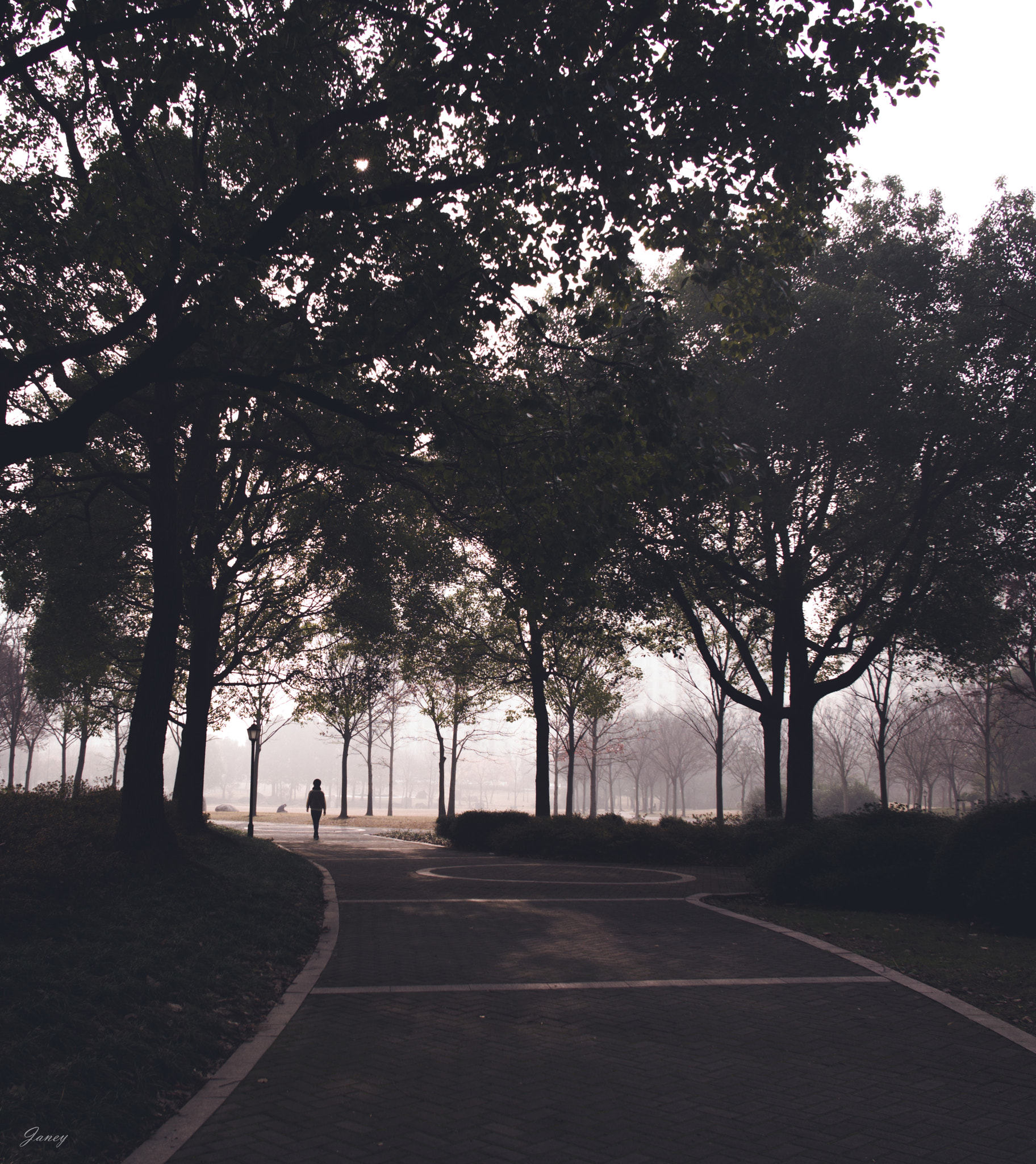 Leica Summilux-M 21mm F1.4 Asph sample photo. Misty morning photography