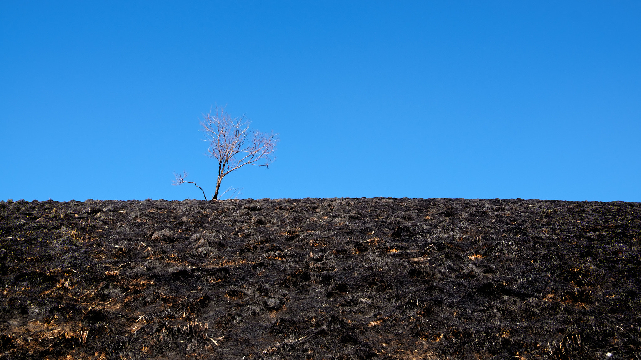 Fujifilm X-T10 + Fujifilm XF 18-135mm F3.5-5.6 R LM OIS WR sample photo