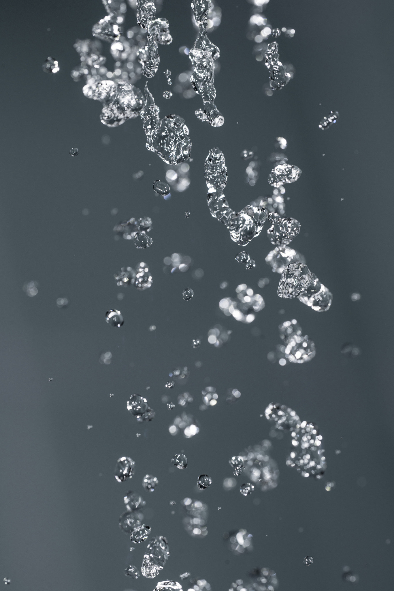 Sigma 105mm F2.8 EX DG OS HSM sample photo. - photography