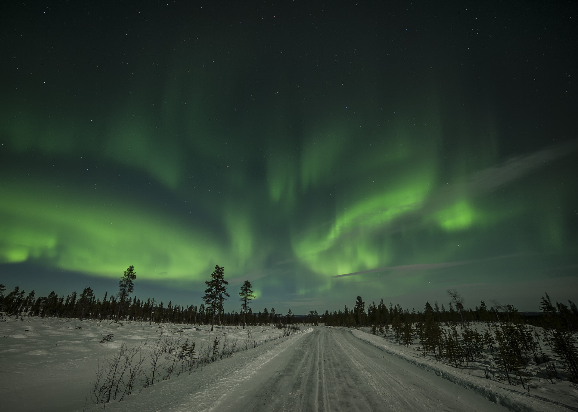 Samyang 14mm F2.8 ED AS IF UMC sample photo. Aurora and the moon light photography